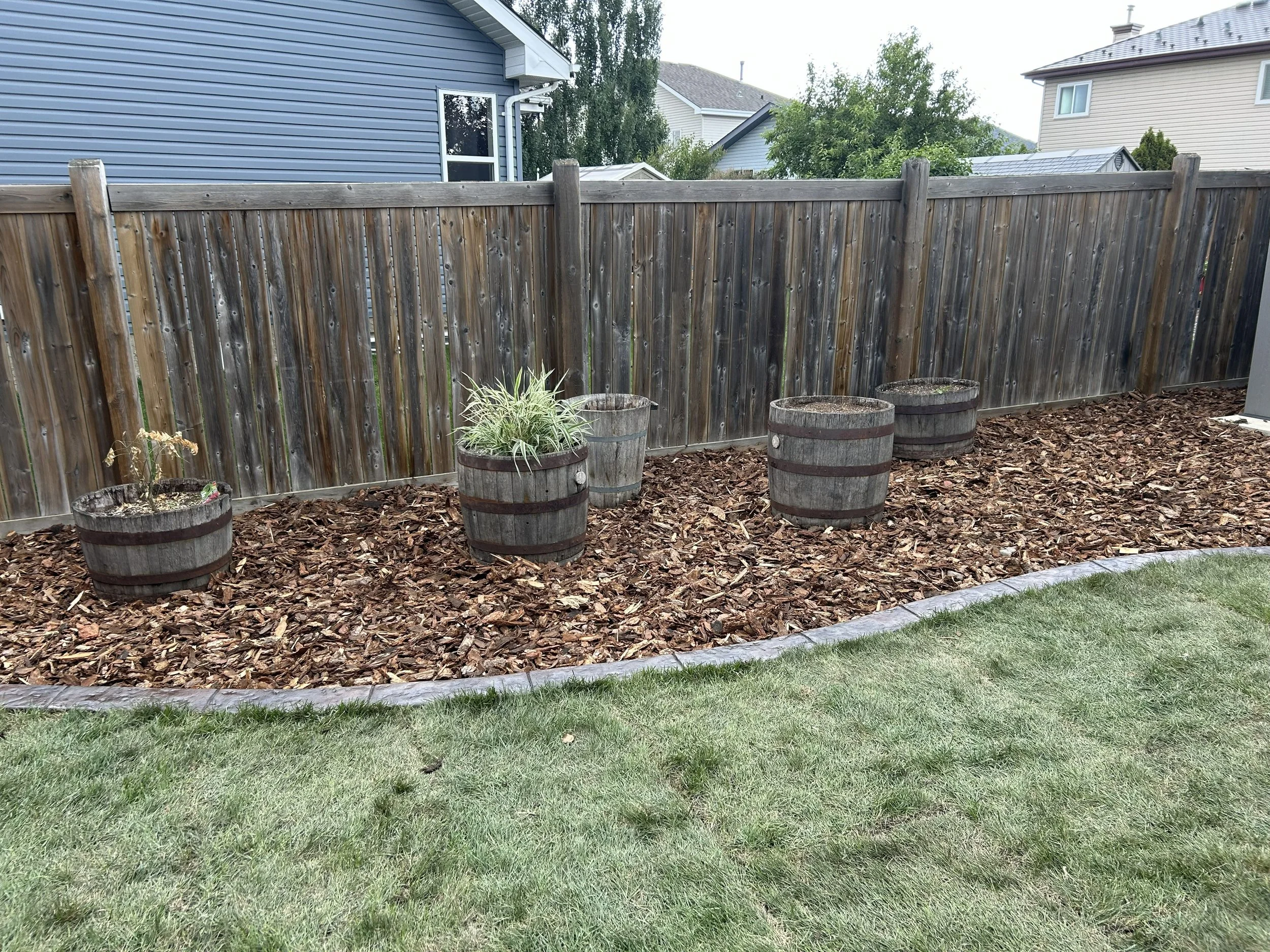 wood chips 2 PM.jpeg