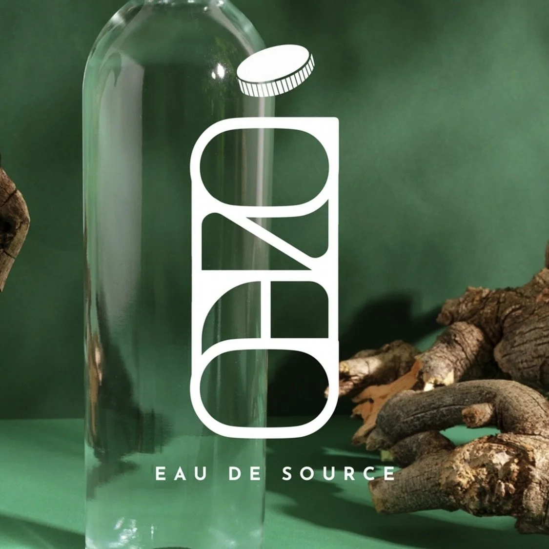 Bouteille en verre d'eau de source avec un logo blanc et un bouchon en haut, fond vert, décoration en bois, texte en bas "EAU DE SOURCE".