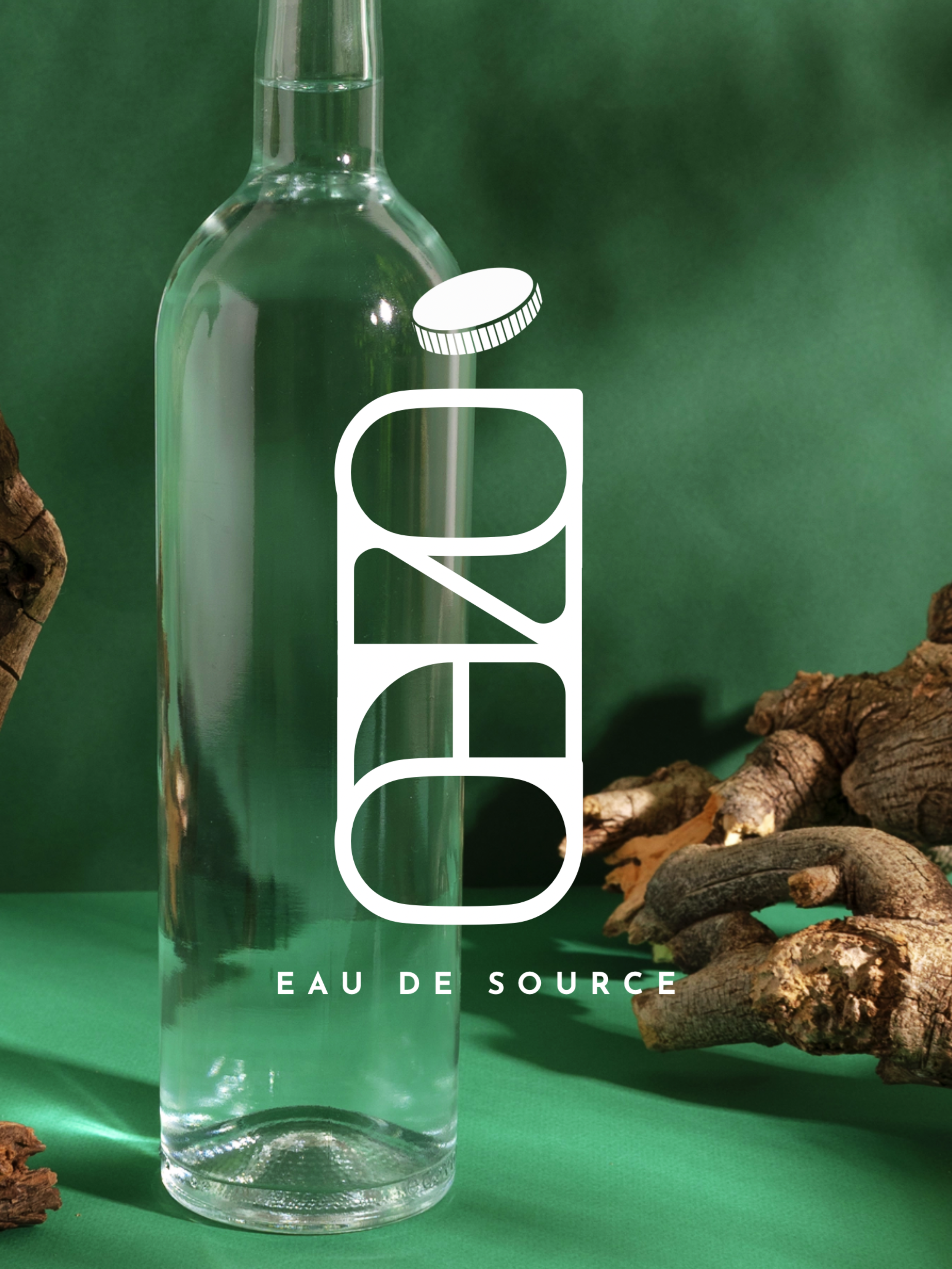 bouteille d'eau ozeo vert