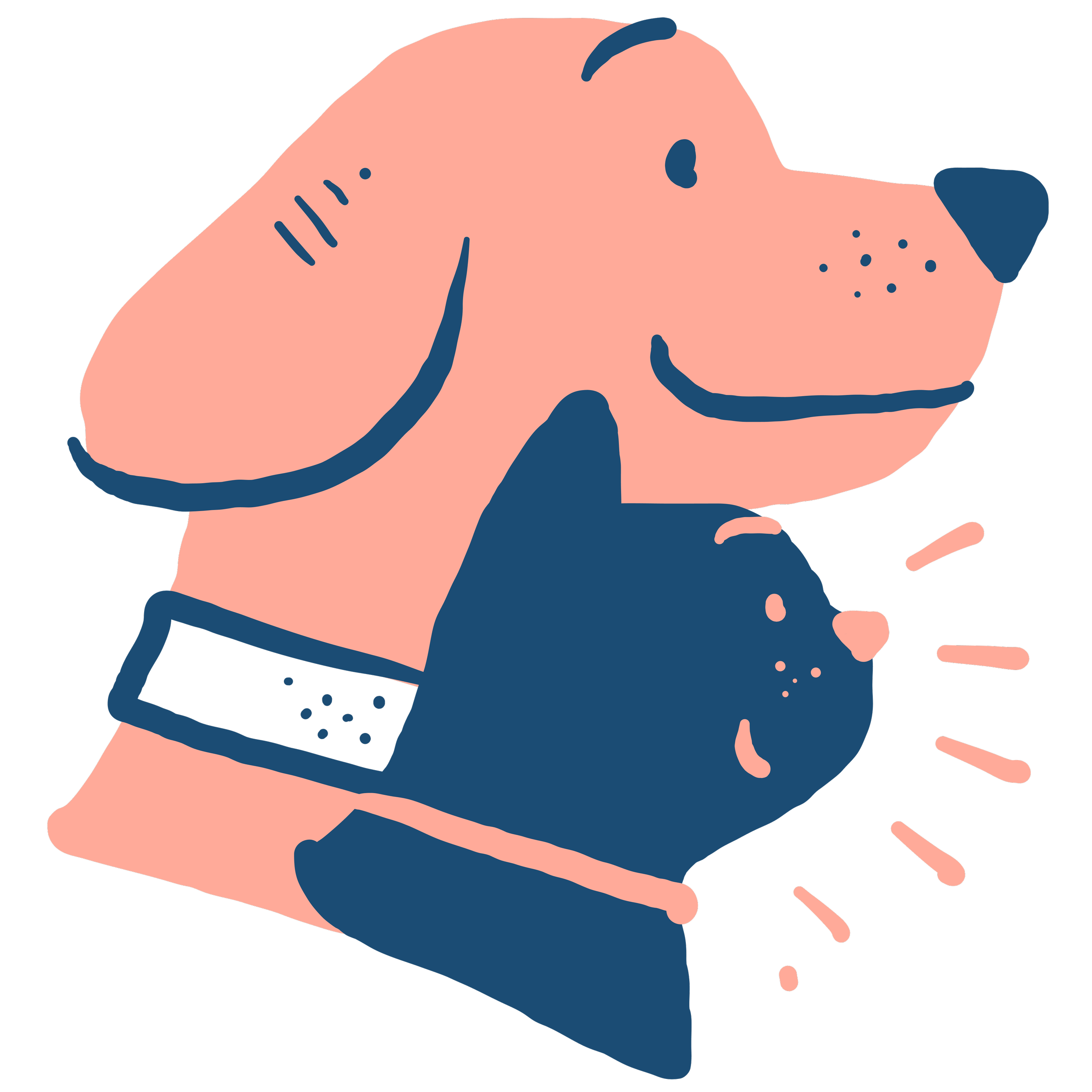 The Complete Guide to End-of-Life Care for Dogs and Cats