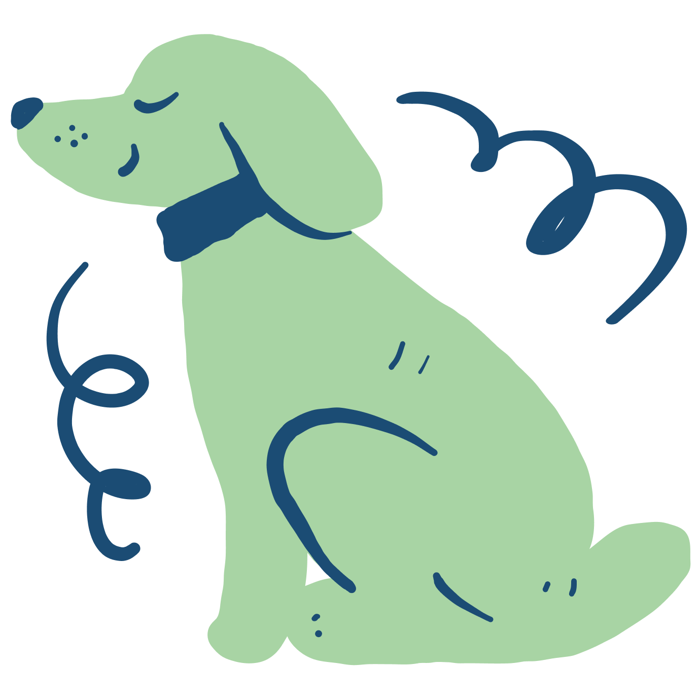 How Changes in Eating and Sleeping Habits Can Signal the Final Stage of a Pet’s Life