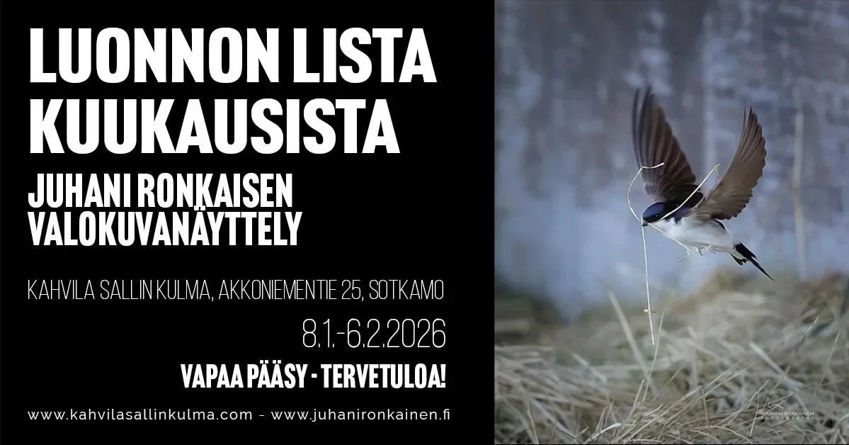 JUONNON LISTA KUUKAUSISTA