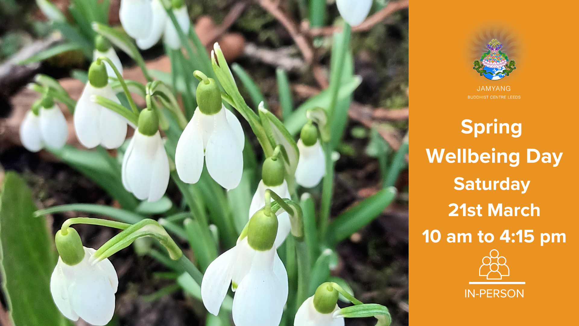 Spring Wellbeing Day 