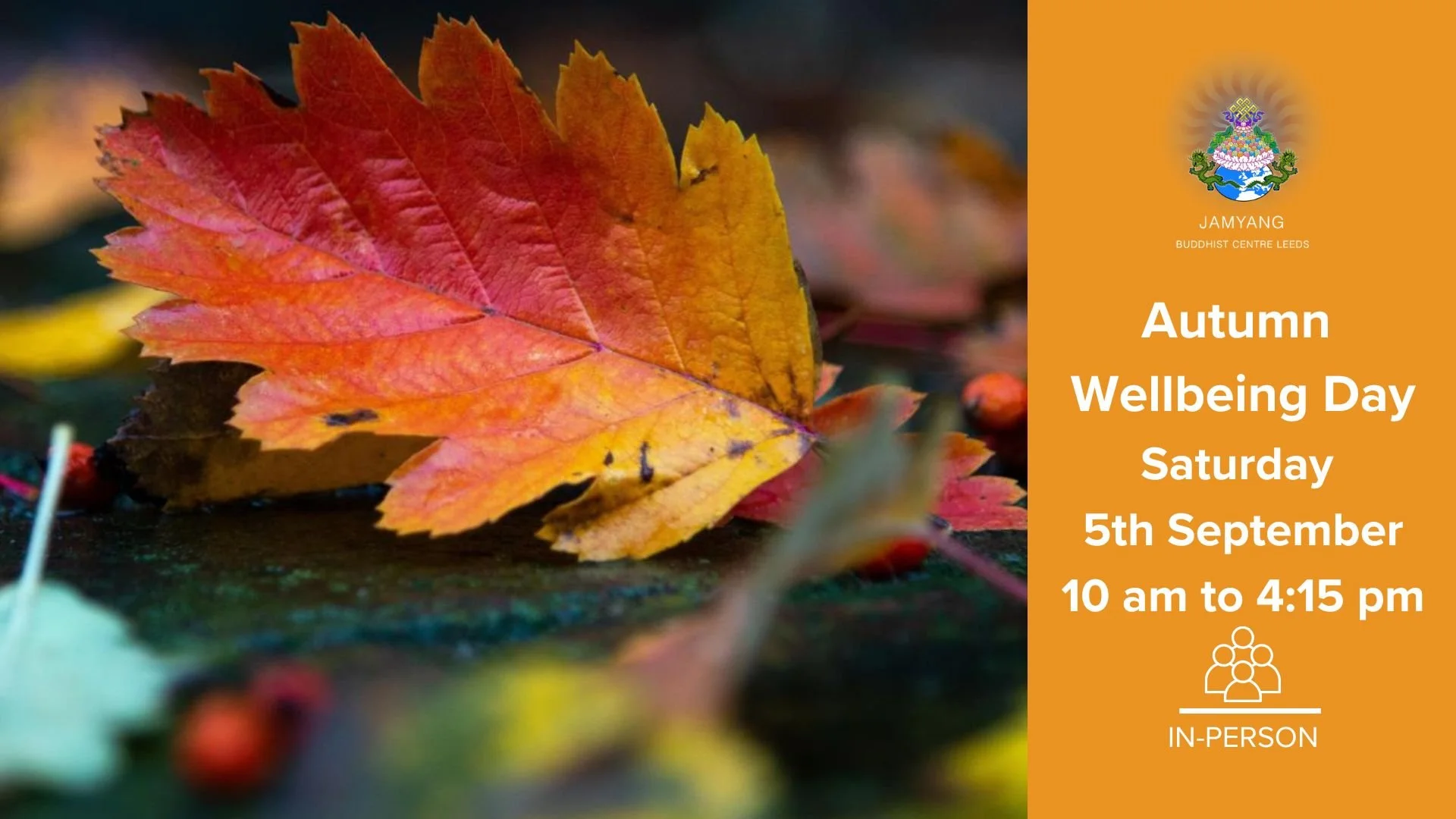 Autumn Wellbeing Day 