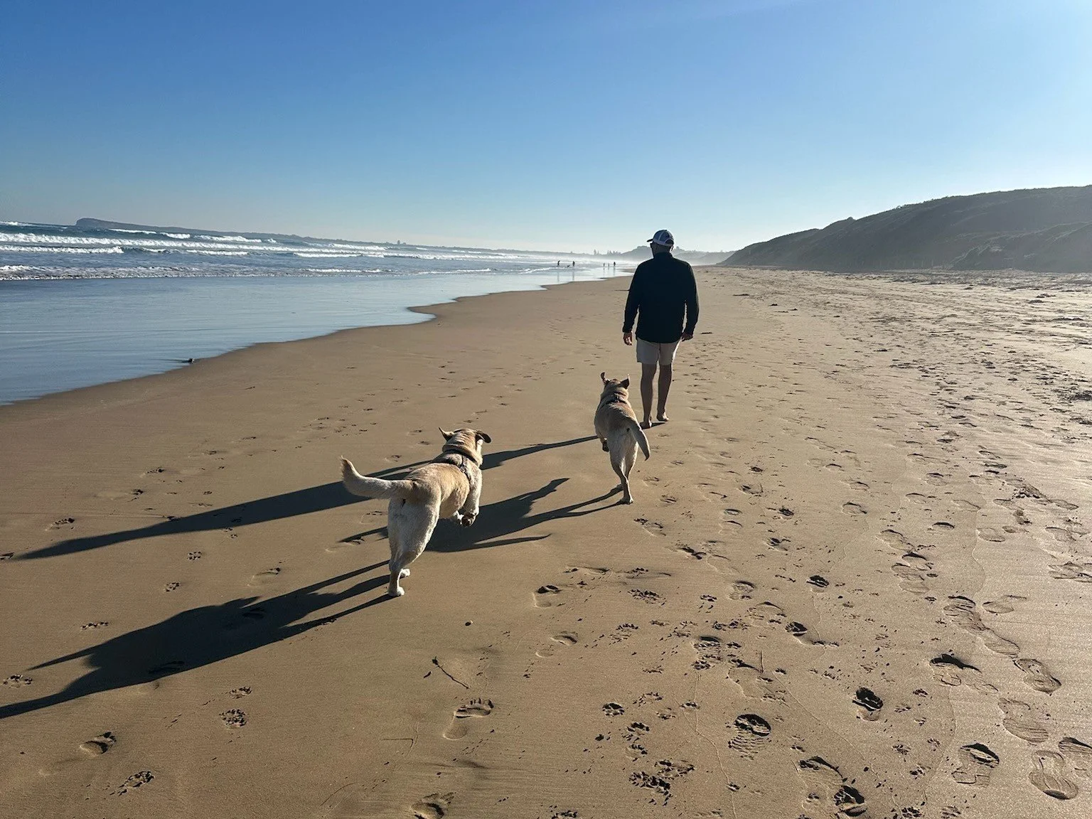 1:1 Nutrition and Mindset Coaching