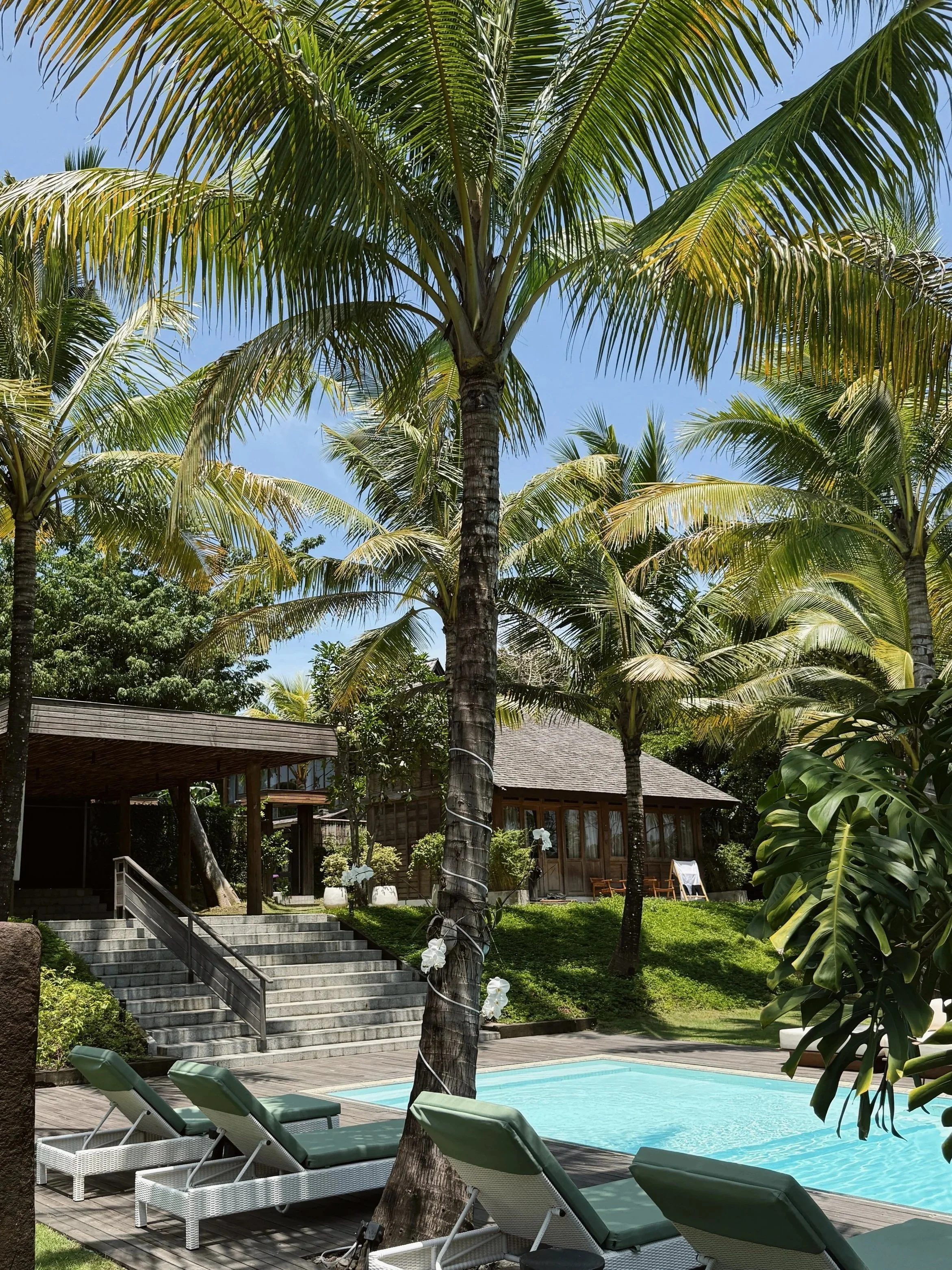 Poolside area with lounge chairs, surrounded by palm trees and a wooden house under a clear blue sky.