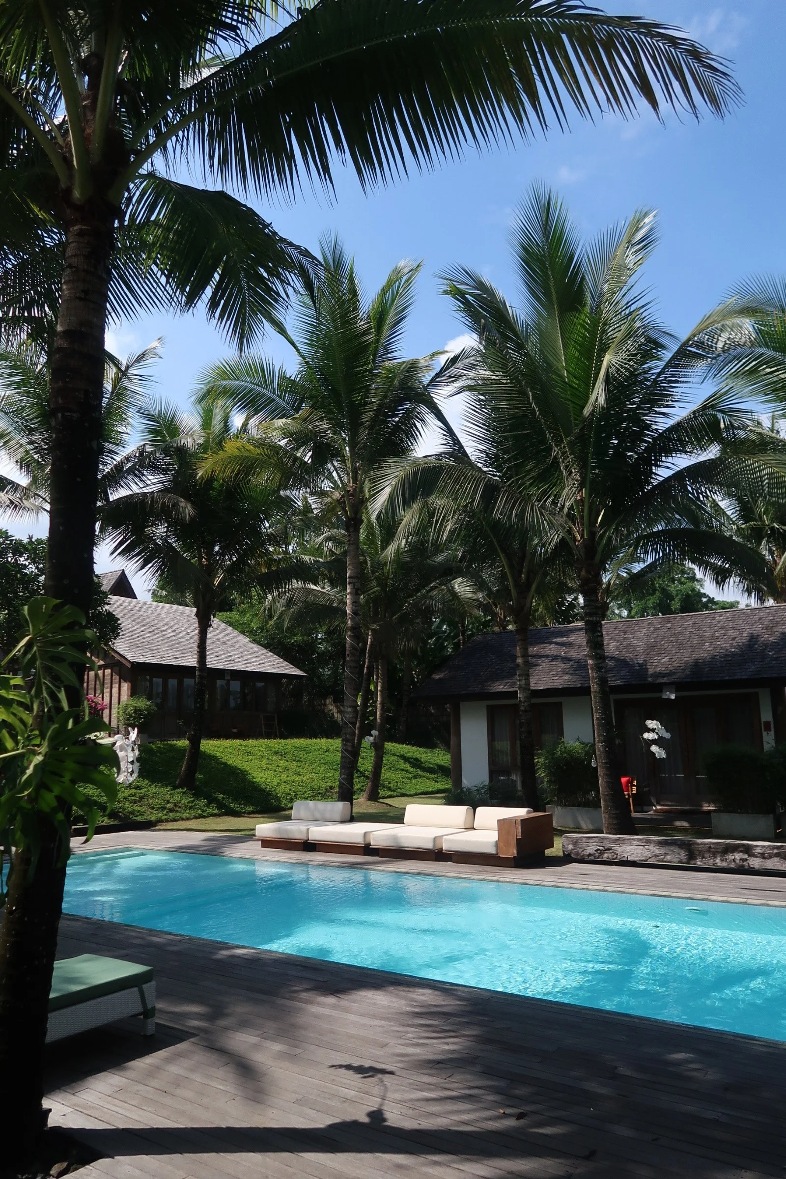 Swimming pool surrounded by palm trees with resort cottages in the background under a blue sky.