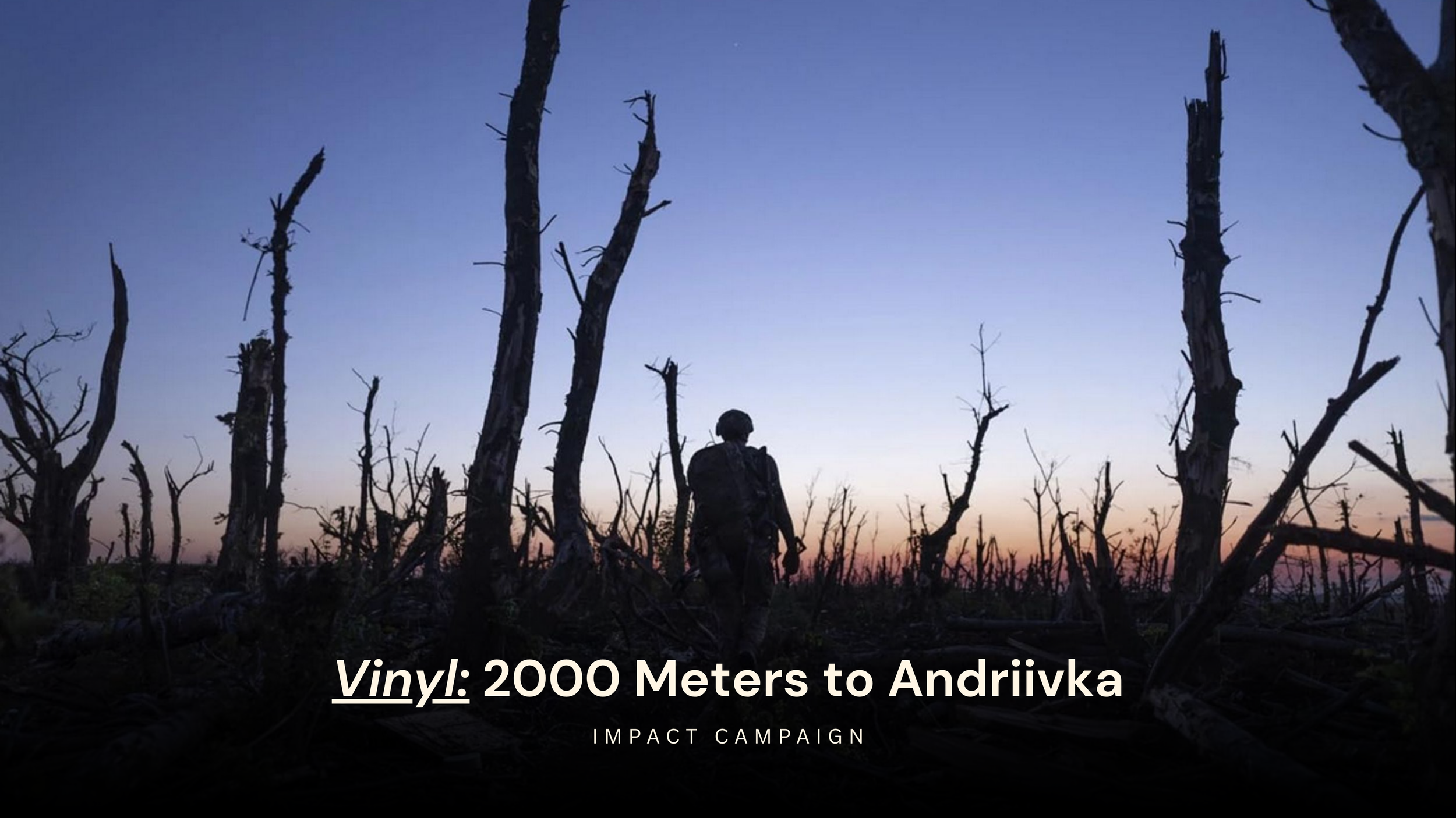 vinyl.png