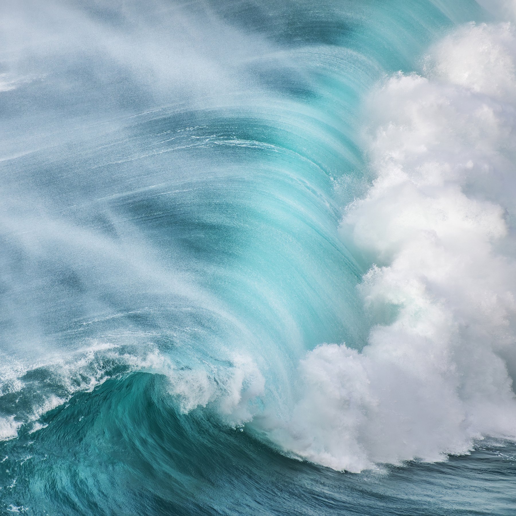 square colour photo print of giant wave breaking