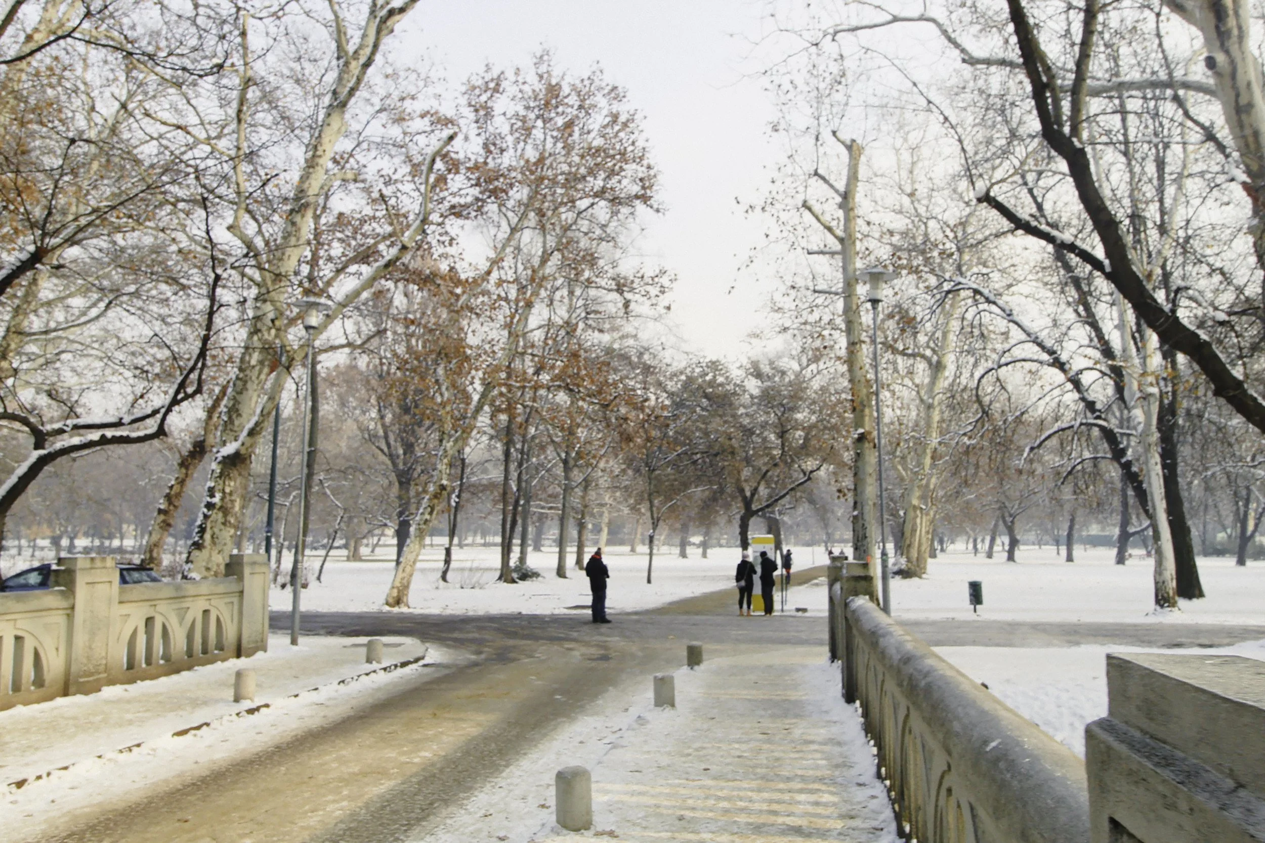 Budapest in the snow