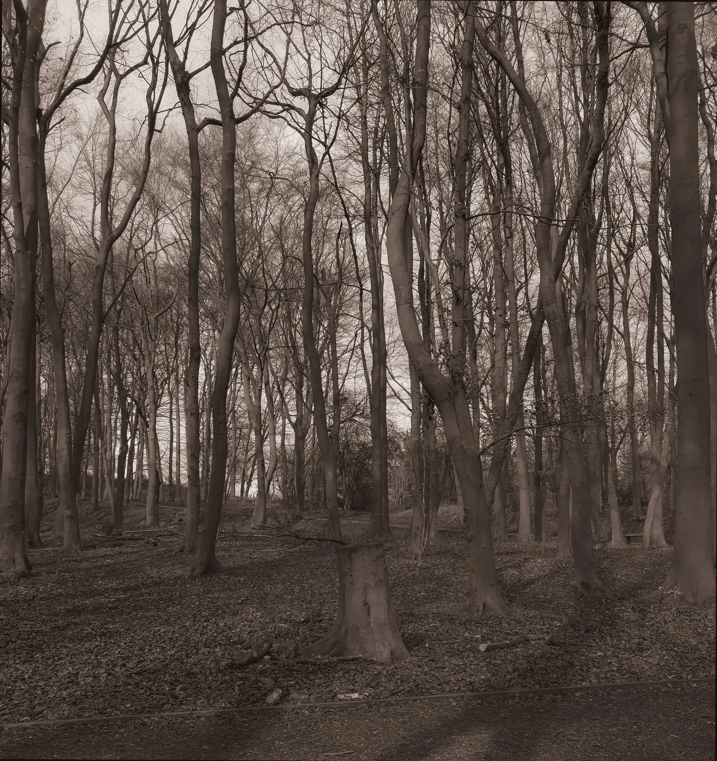 Landscape Photography