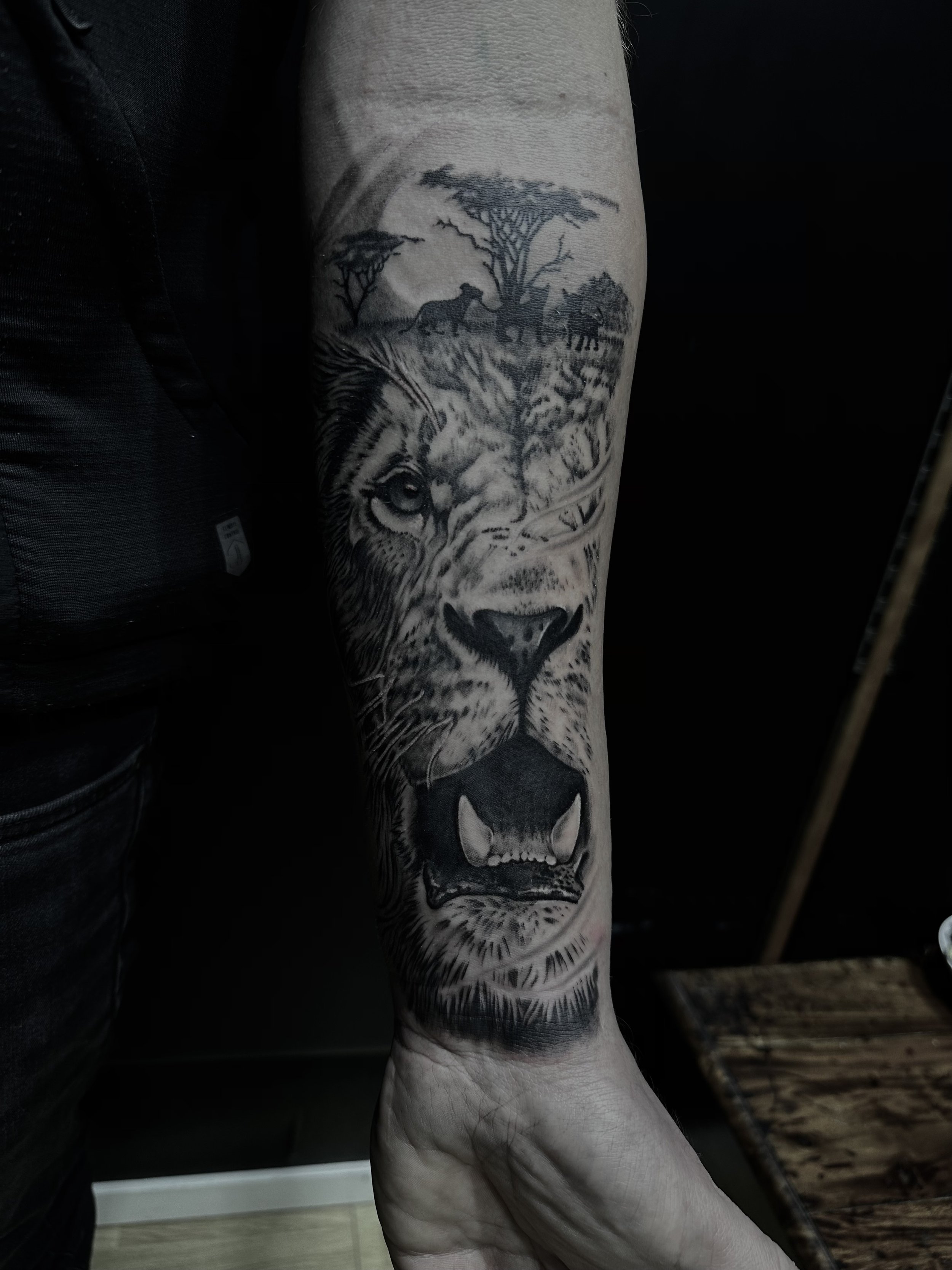 Detaljerad tatuering av ett lejonansikte med en savannscen med träd och djursilhuetter på en persons underarm.