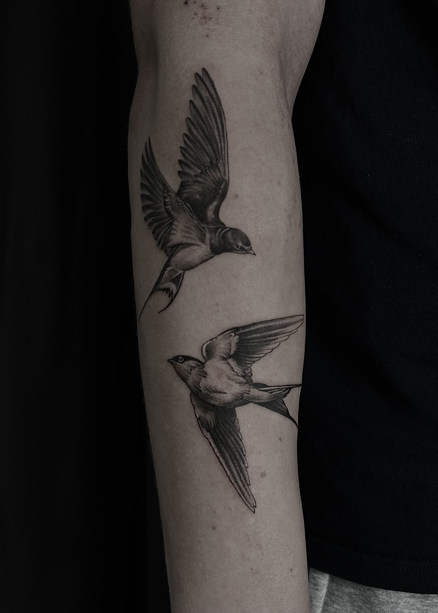 Två svalor tatuerade på en arm.