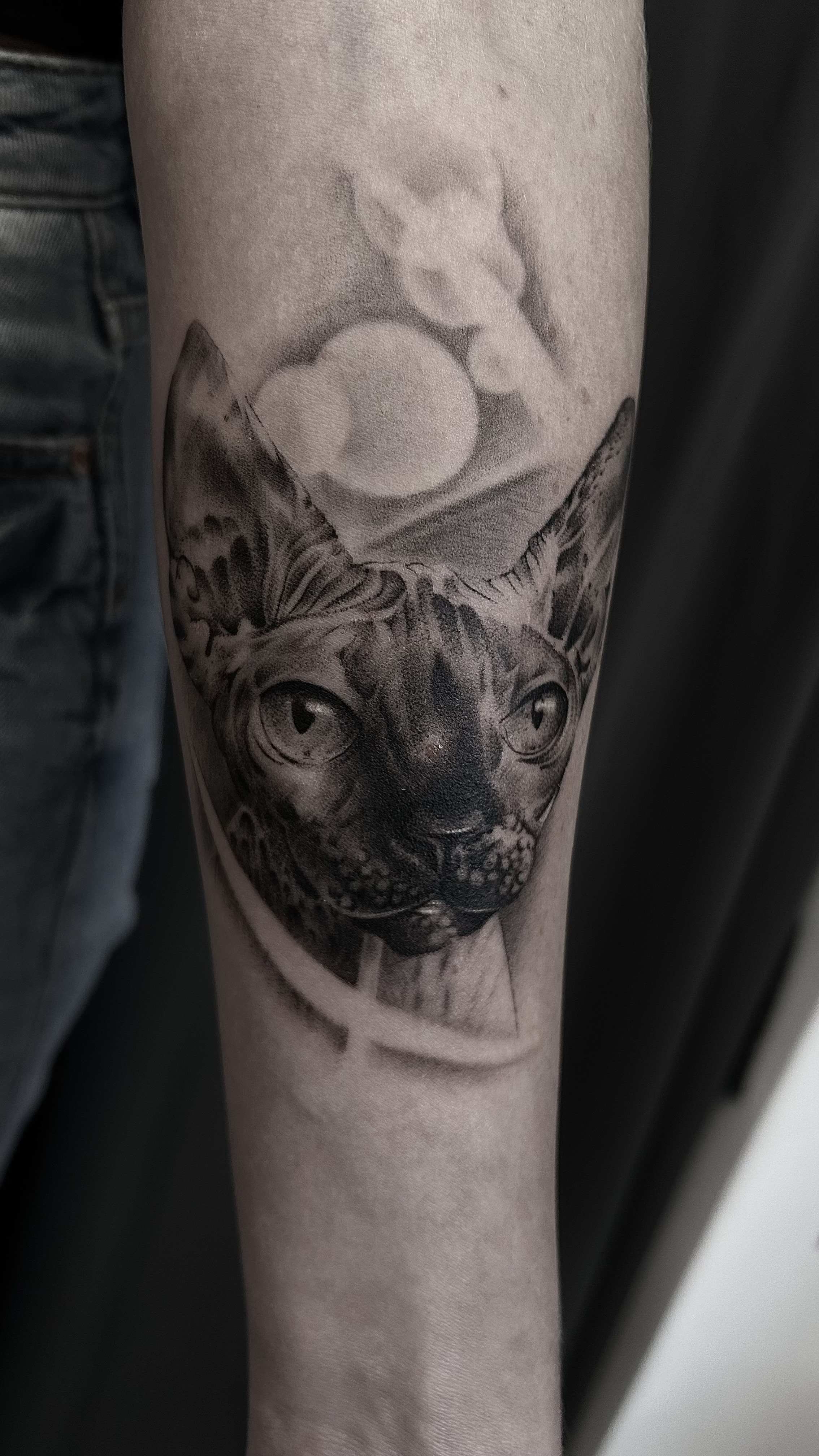 En tatuering av en sfinks-katt på en underarm, med en bakgrund av geometriska former och en planet.