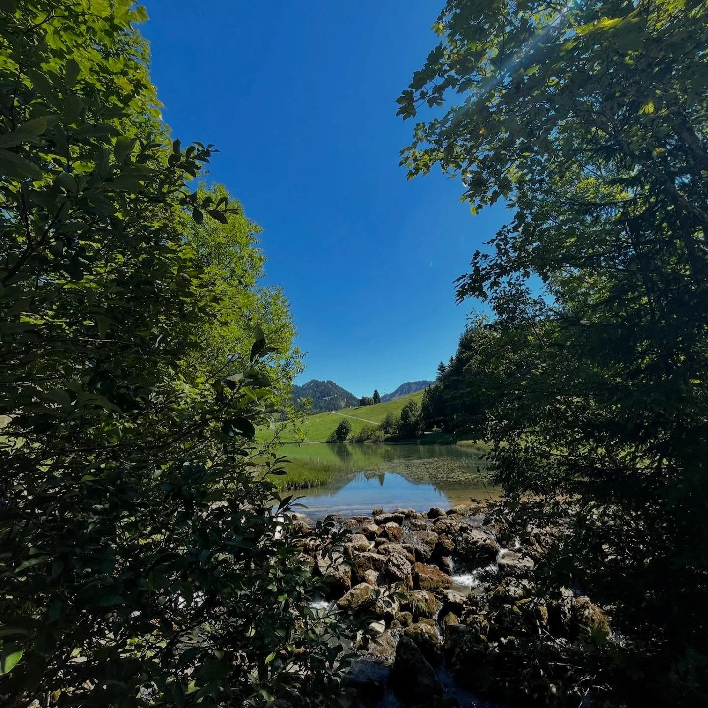 wanderparadies lecknertal 🥾☀️

Hast du schon vom Lecknertal geh&ouml;rt? 

Es ist ein wahres Wanderparadies mit vielen viehwirtschaftlichen Alpen und einer atemberaubenden Natur. 
Und das Beste? Direkt von uns aus erreichbar.

Nach der Wanderung war