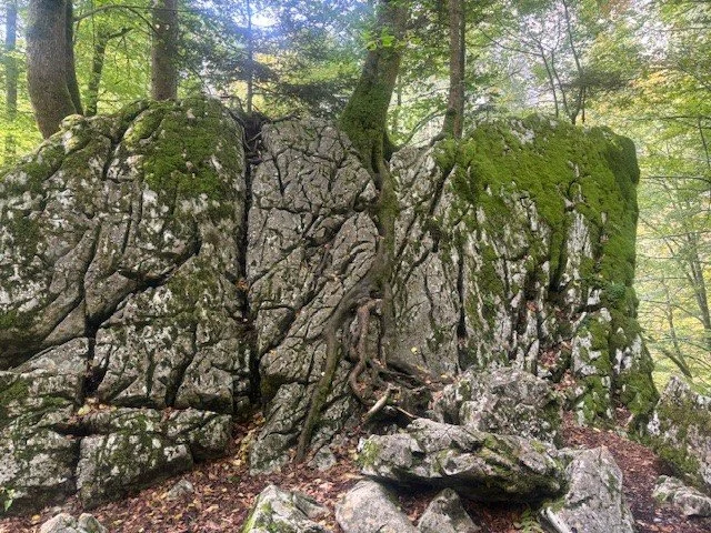 Klang &amp; Naturklang