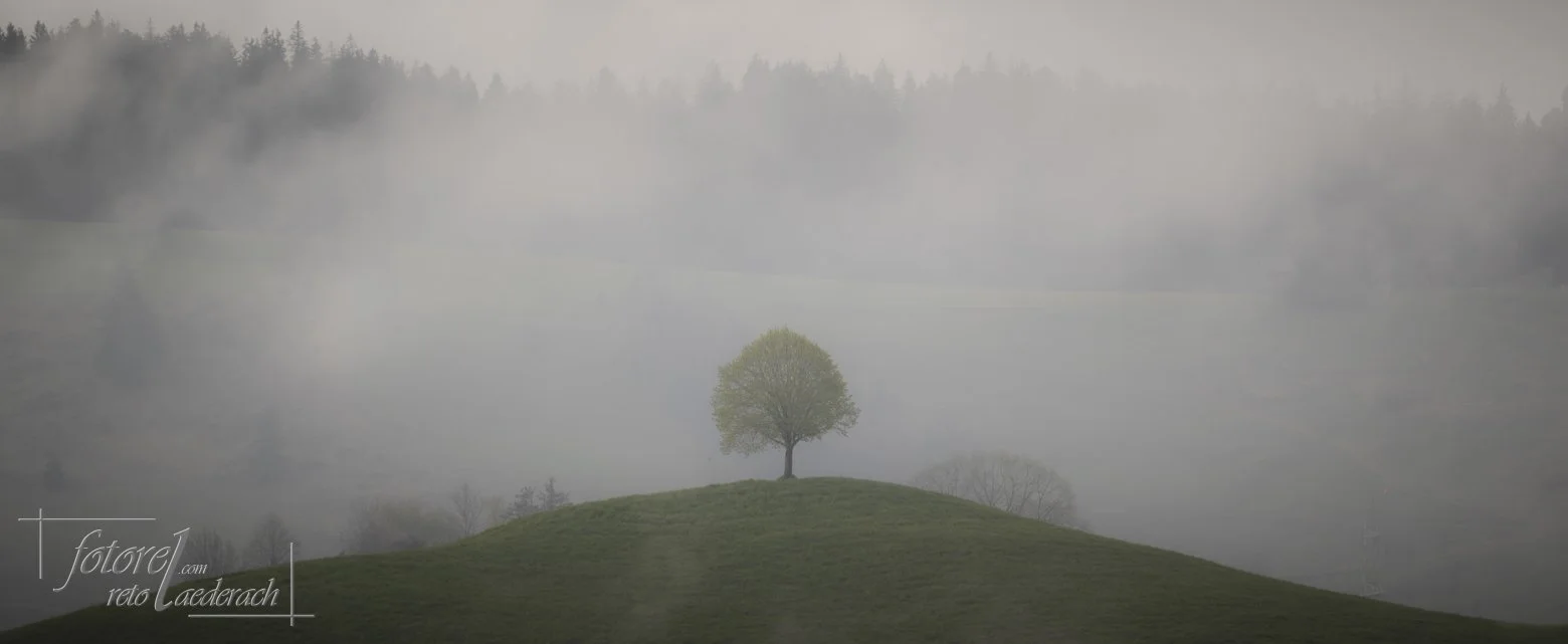 fotorel_Landschaft_262