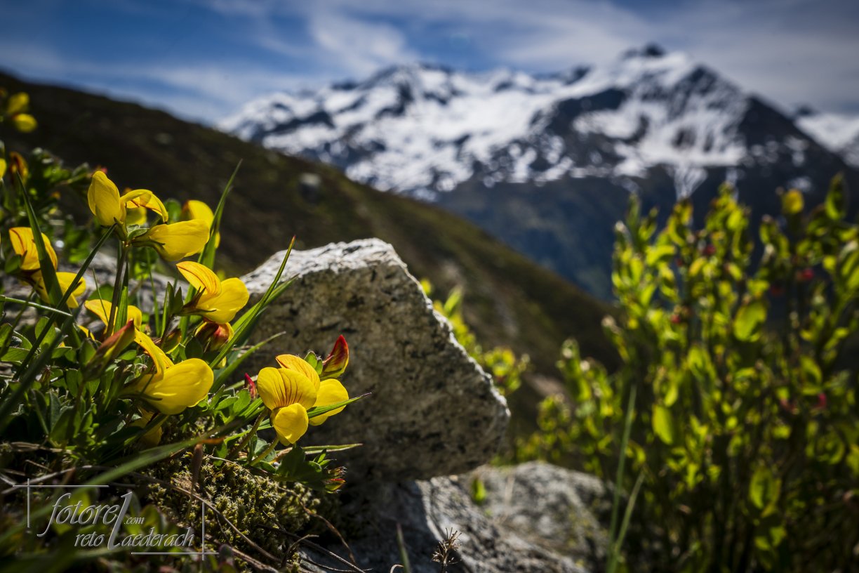fotorel_Bergewelt_218