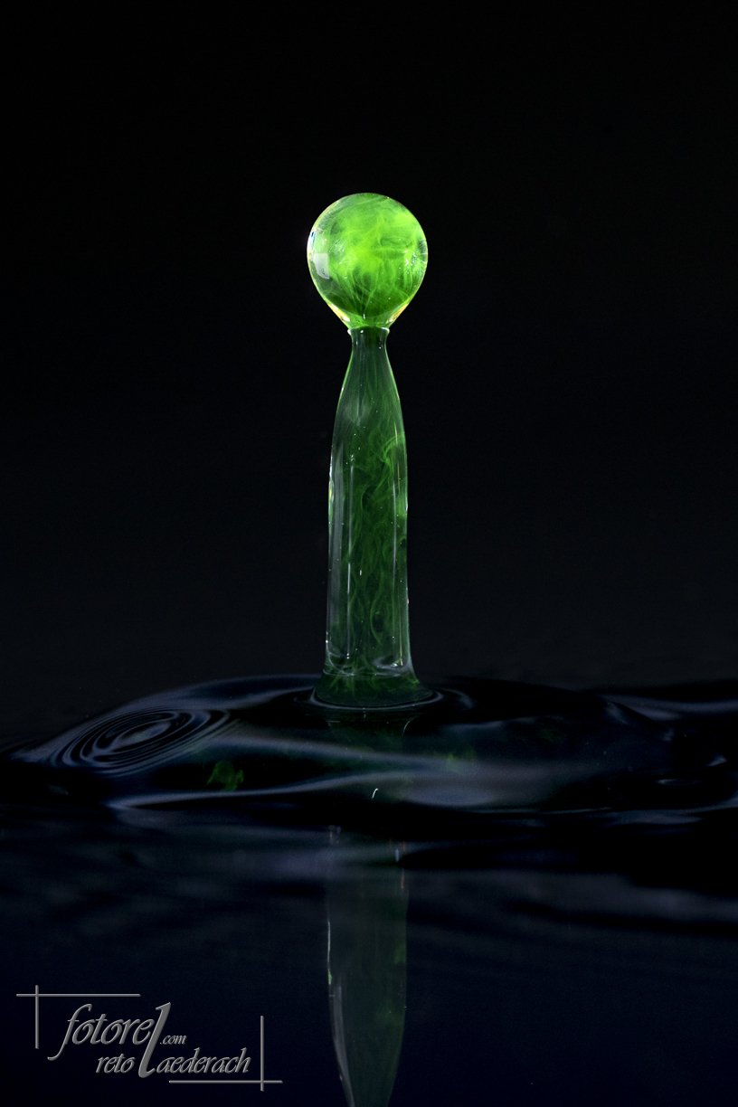 fotorel_Detail_259