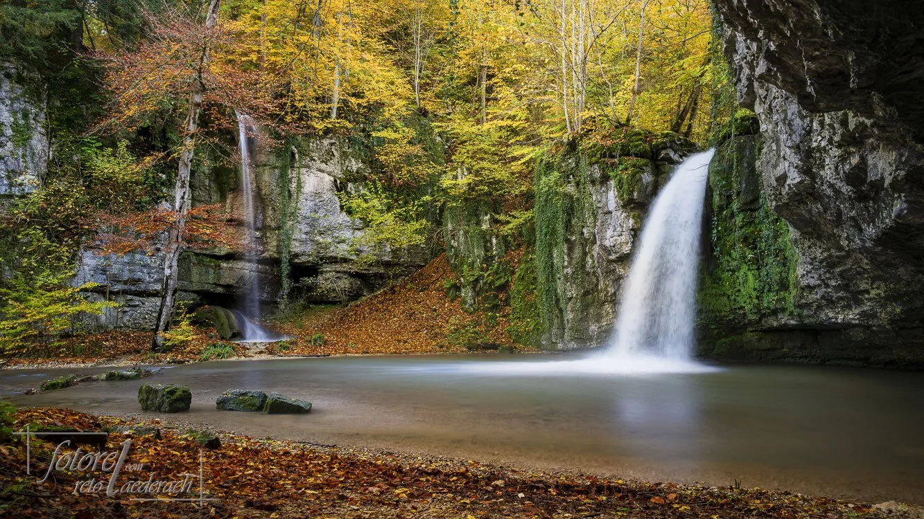 fotorel_Wald_254