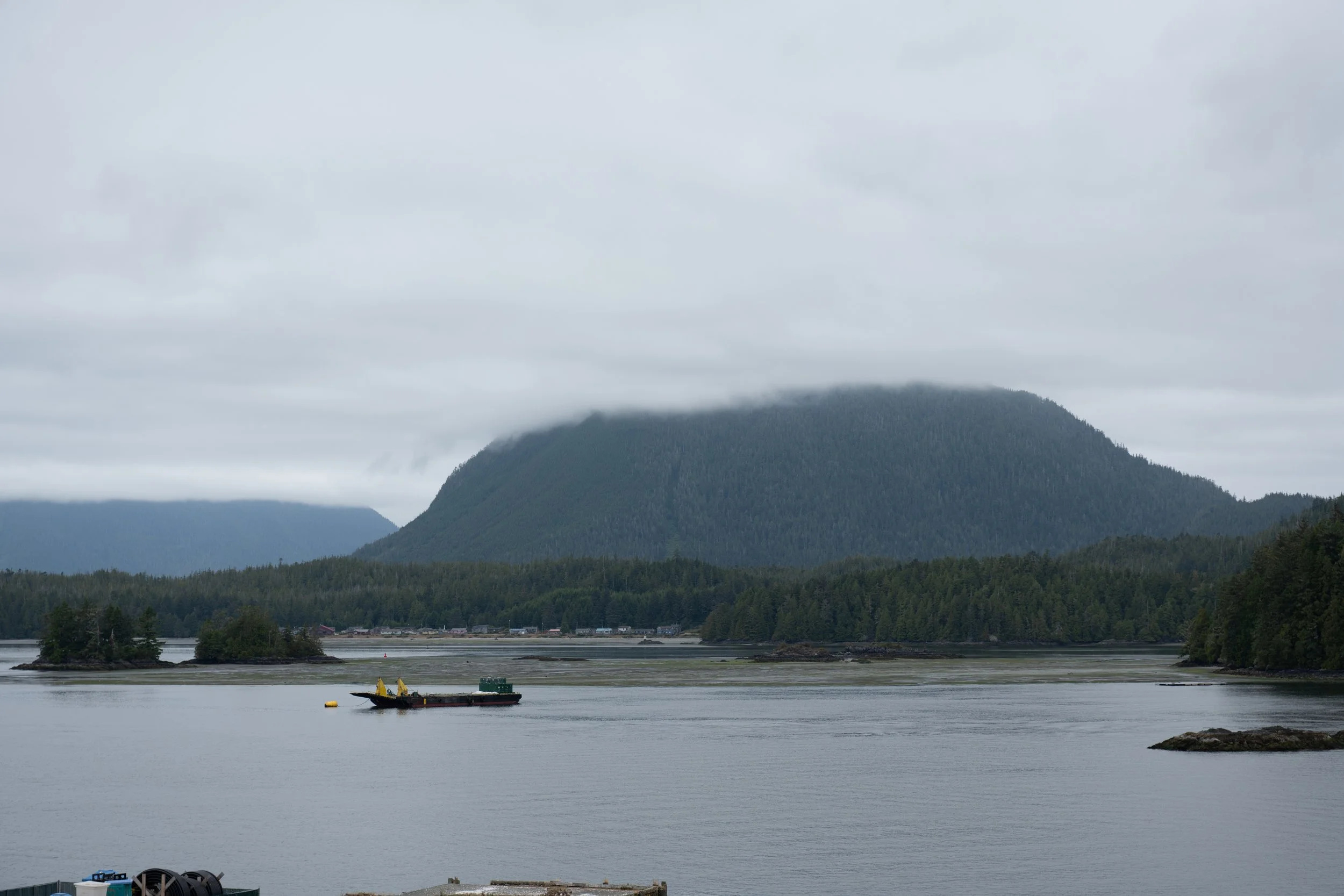 Tofino