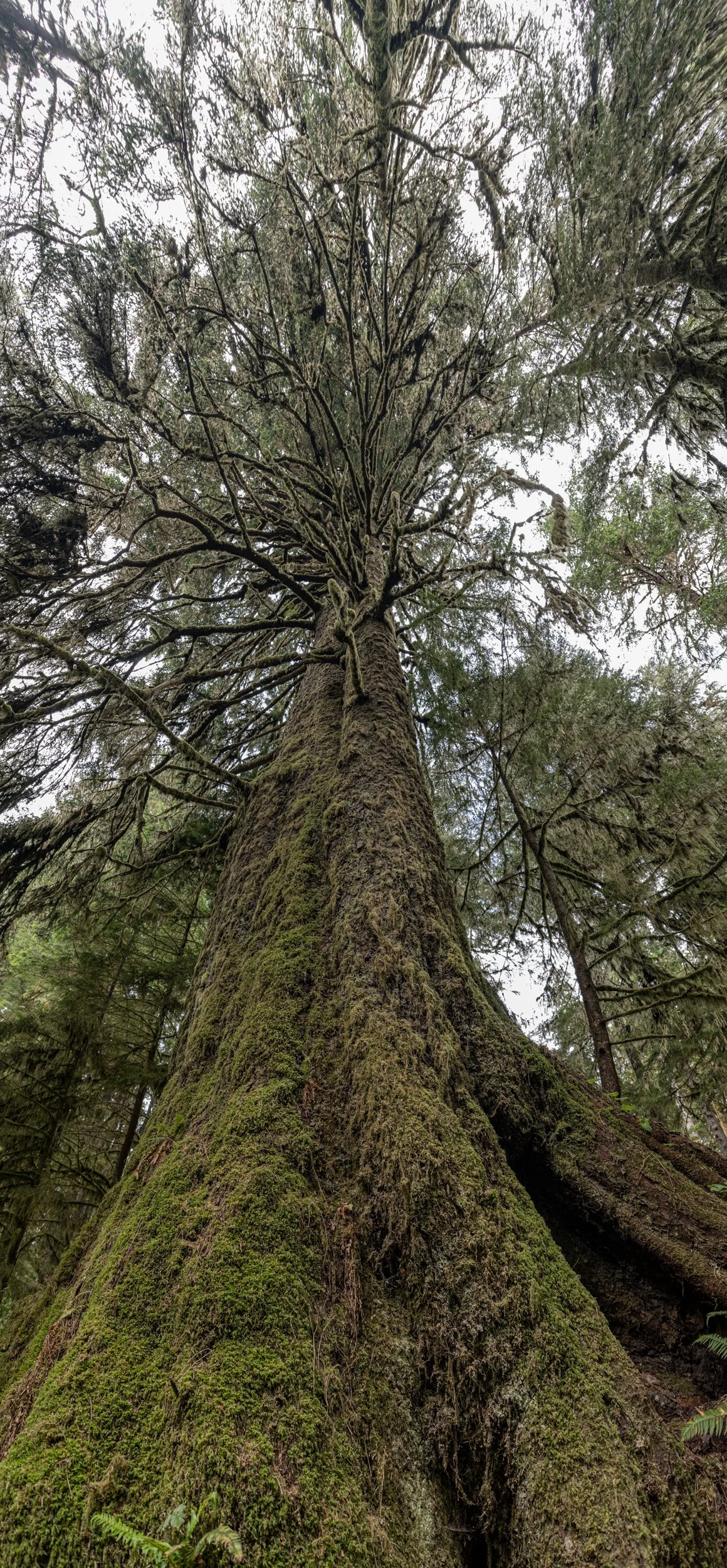 MAB_5783-Pano.jpg