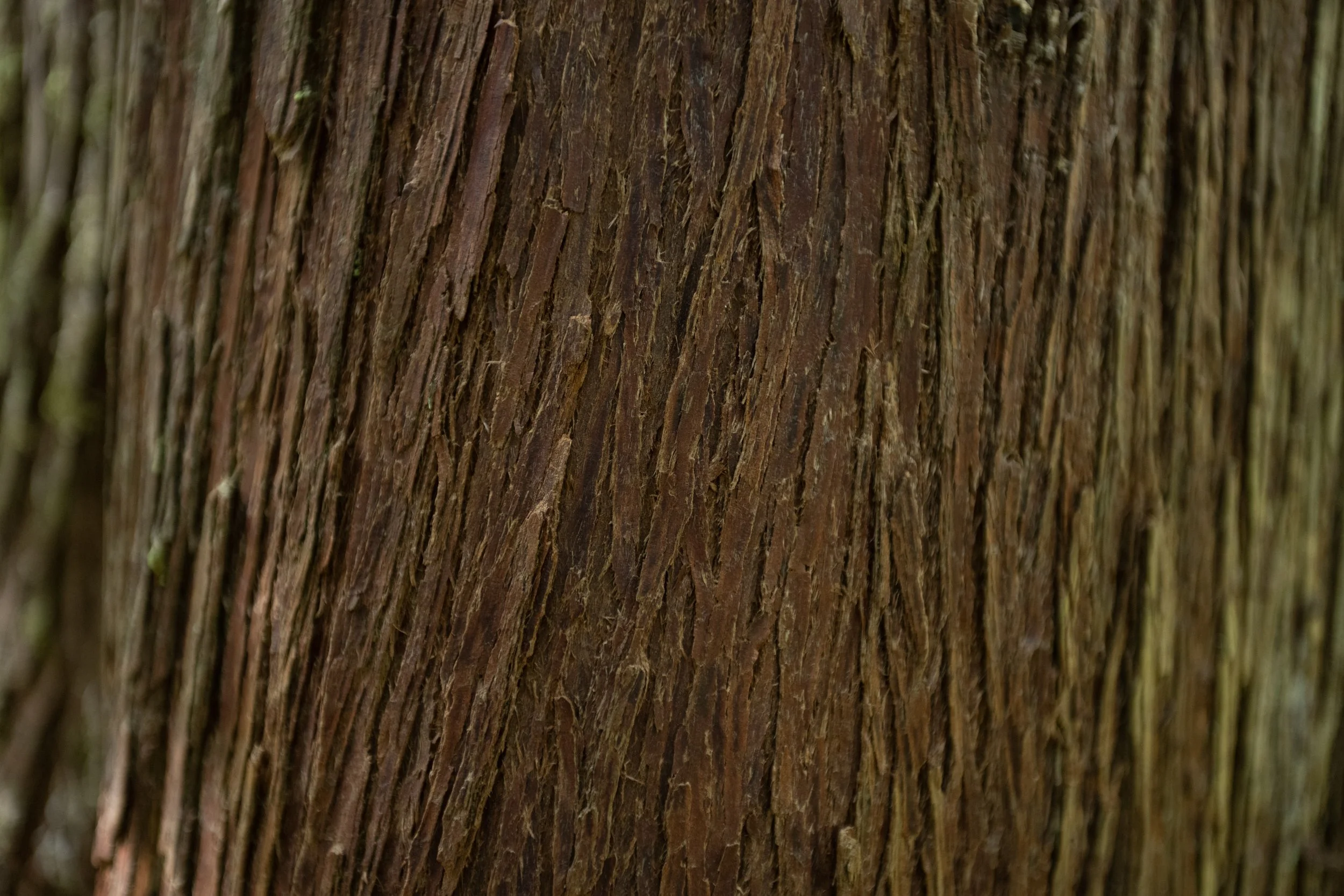 MAB_3024.jpg