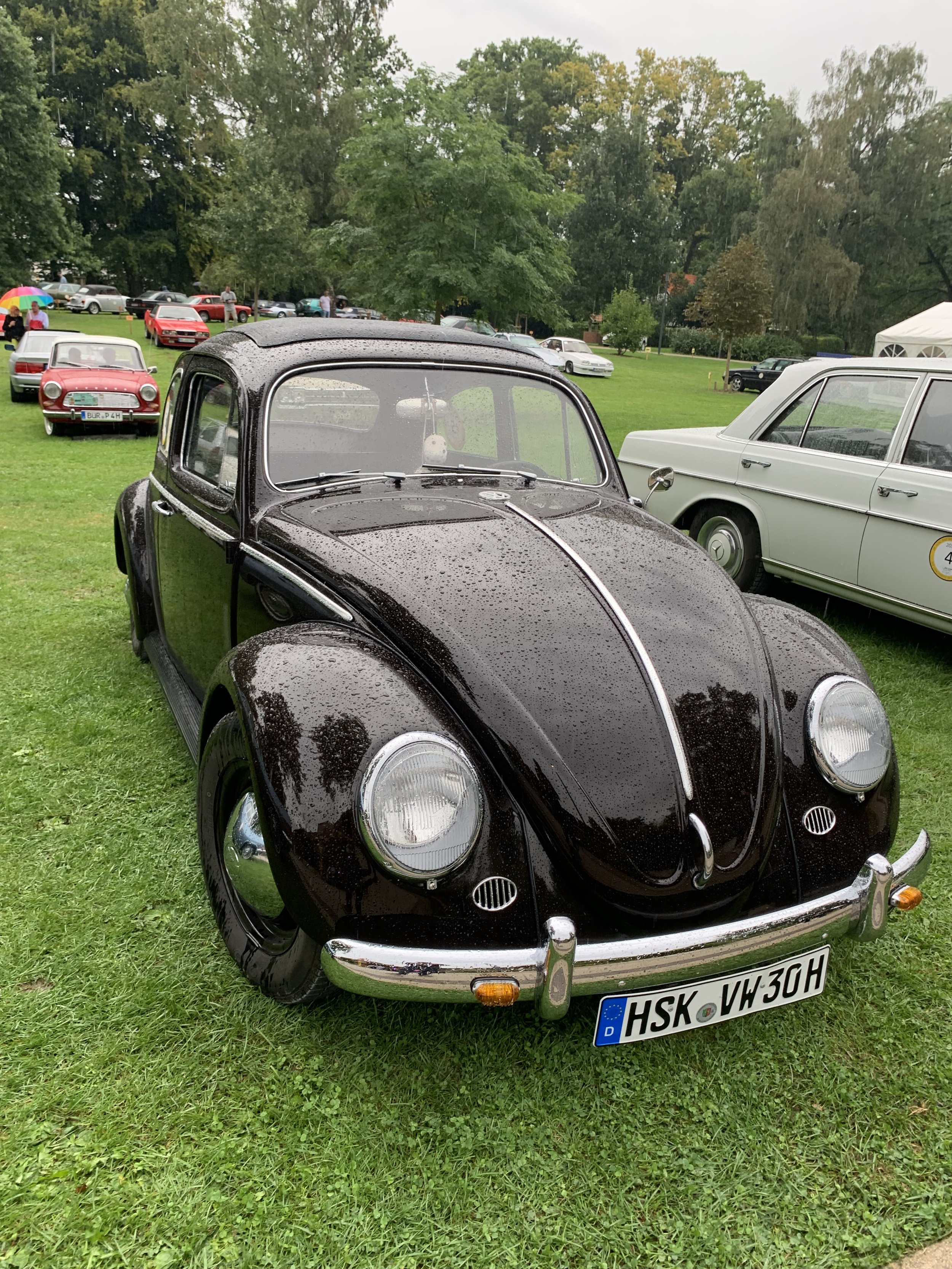 Die Geschiche mit dem Kleinen Braunen und wie alles begann…