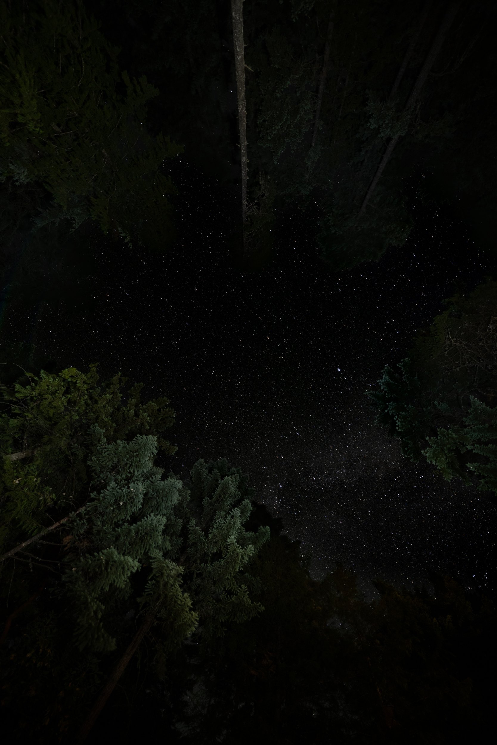 Night Sky