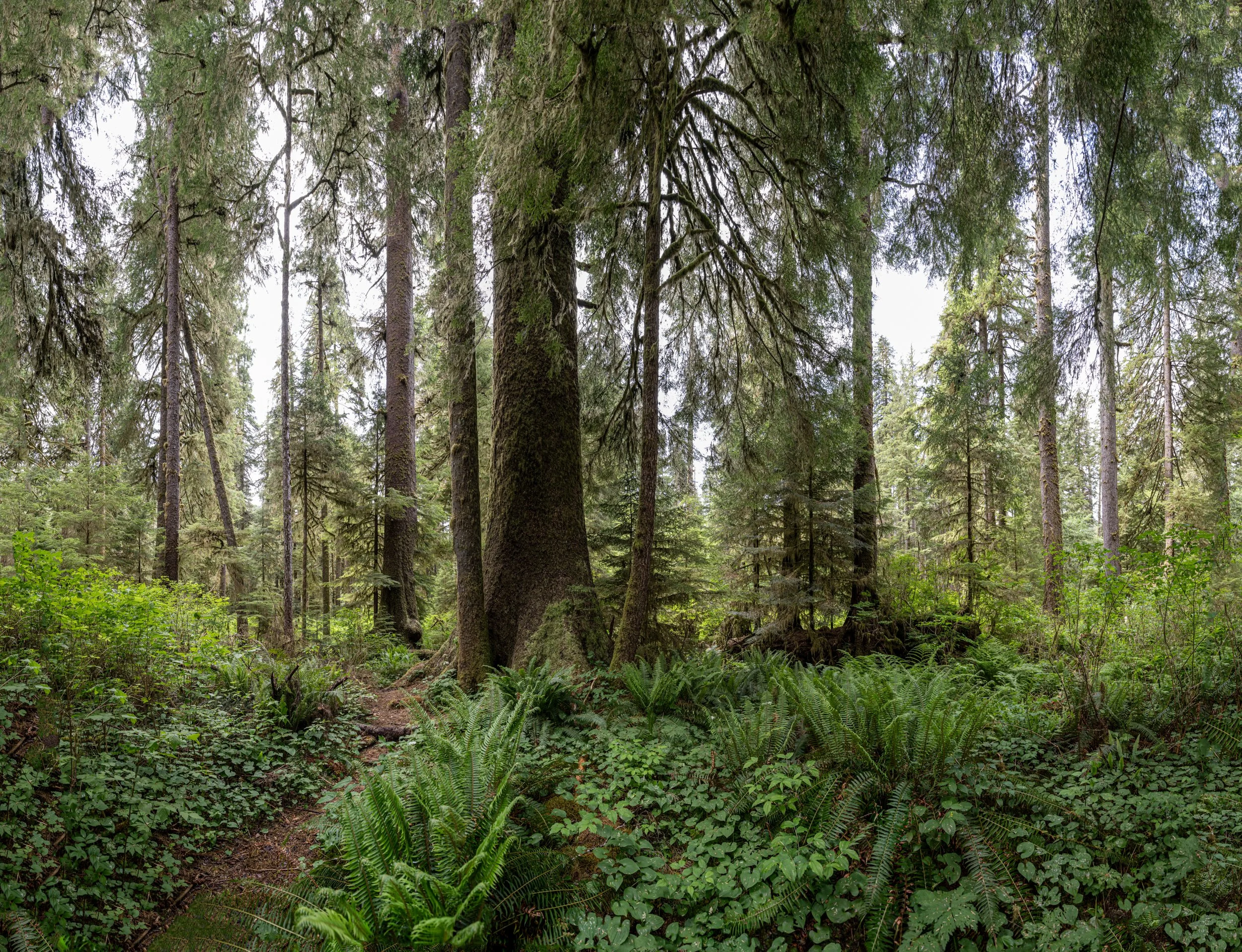 MAB_5937-Pano-2.jpg