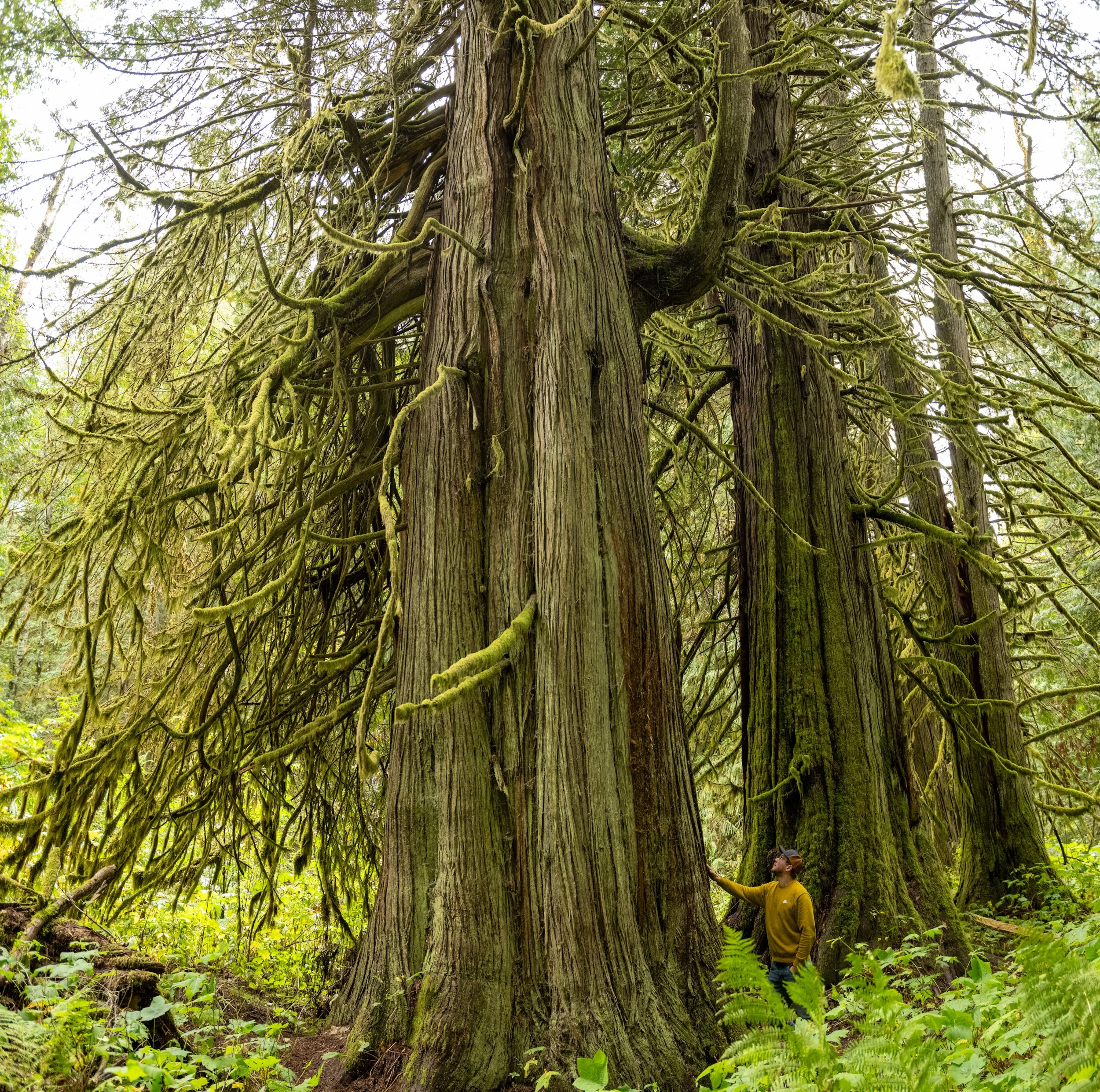 MAB_4164-Pano.JPG
