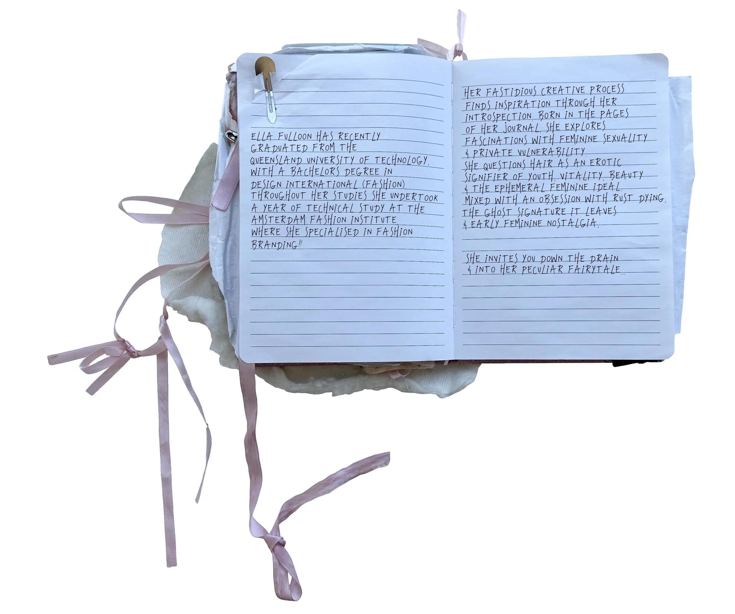 journal test page 2.2.jpg