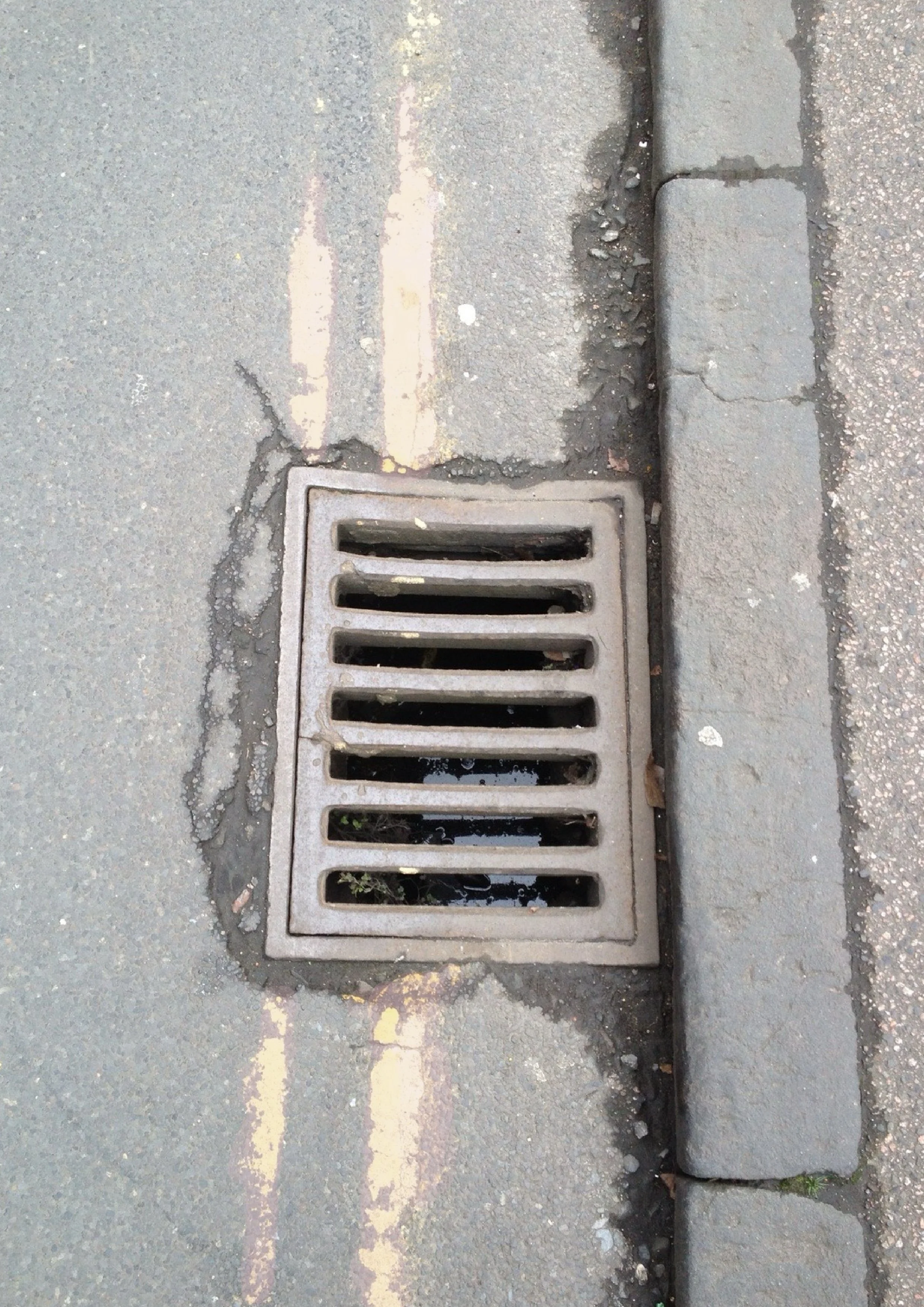 DRAIN SILHOUETTE 5.JPG