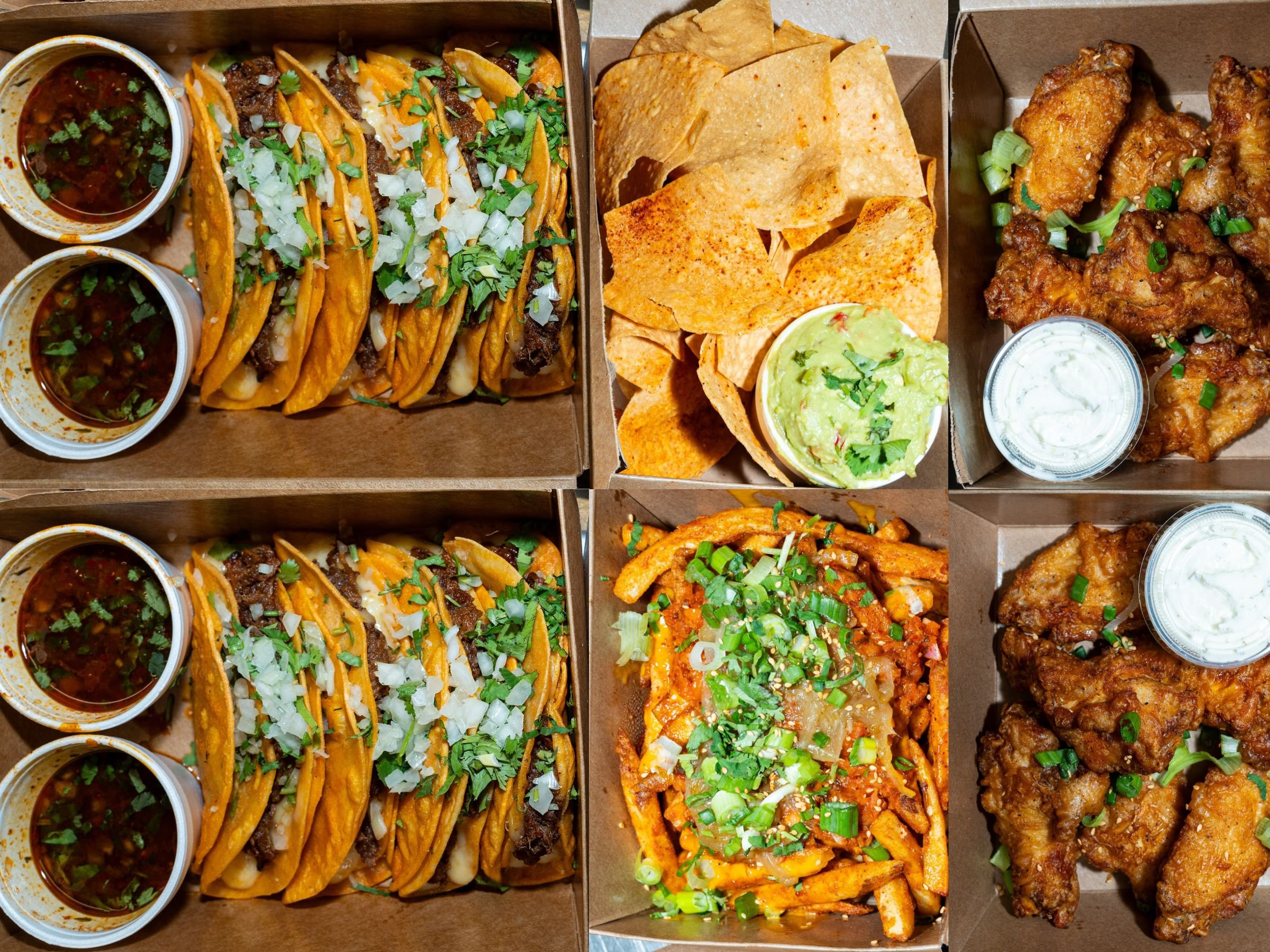 Large sampler feast with birria tacos wings and fries