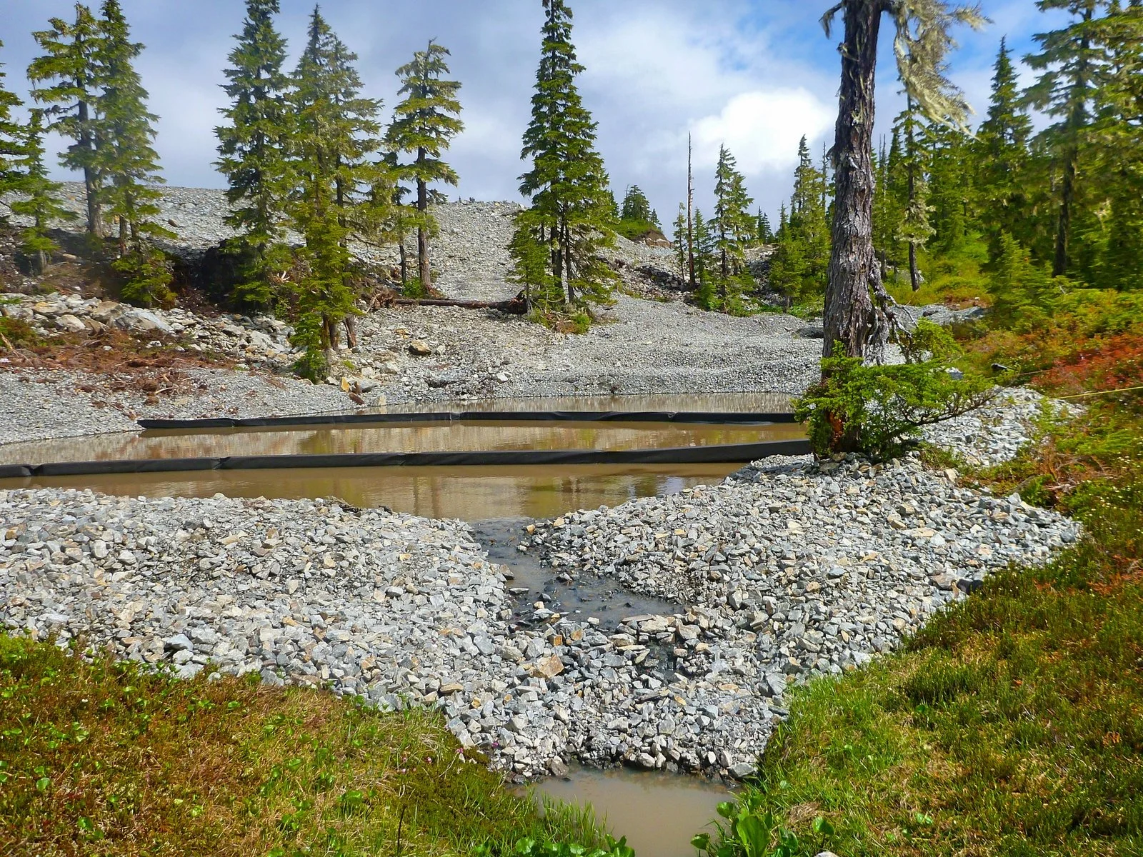 2015-06-12 PS1 Curtains at Lower pond.jpg