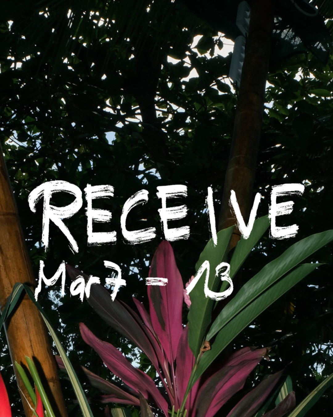 RECEIVE (week 2) — Deposit
