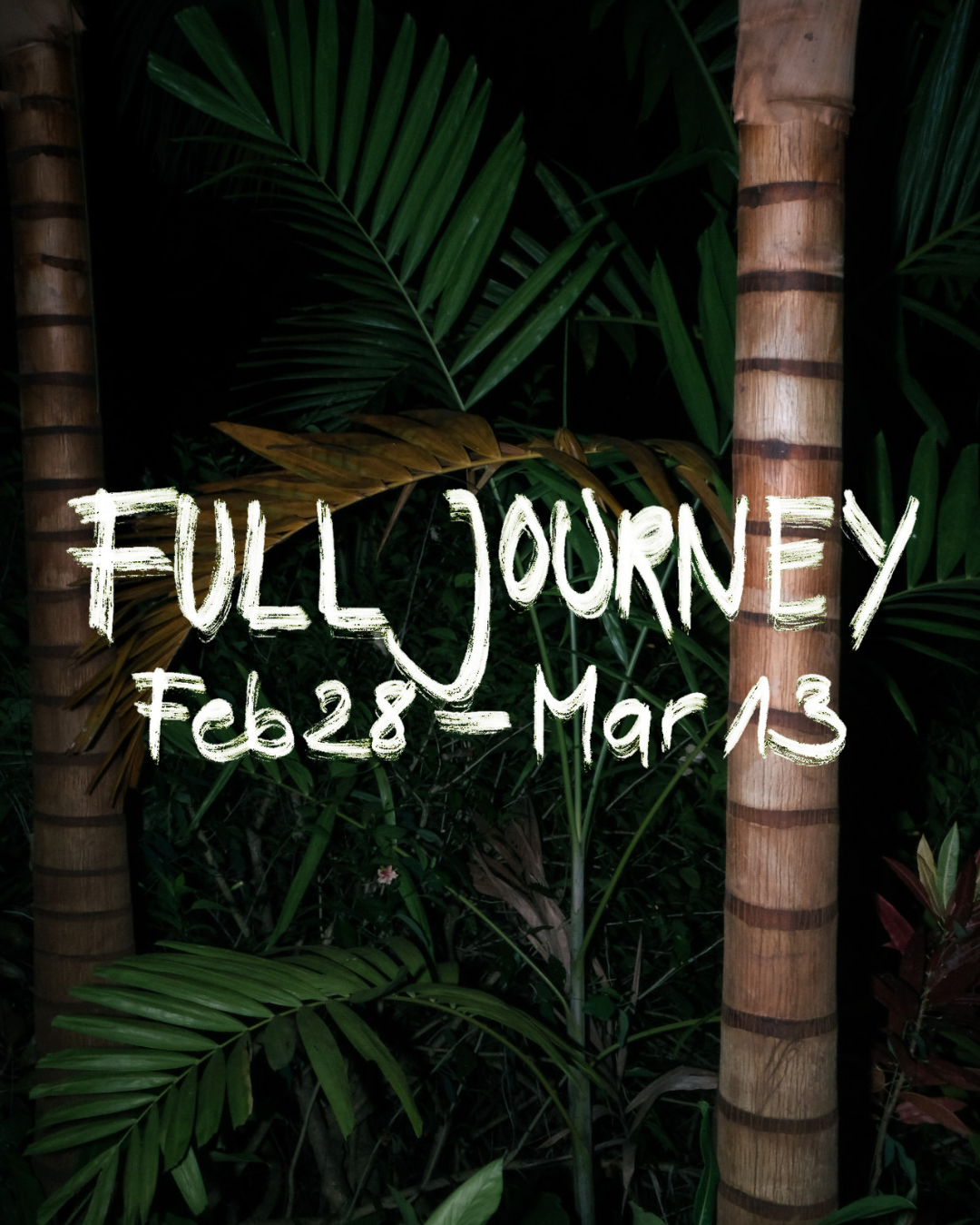 FULL JOURNEY (week 1&2) — Deposit
