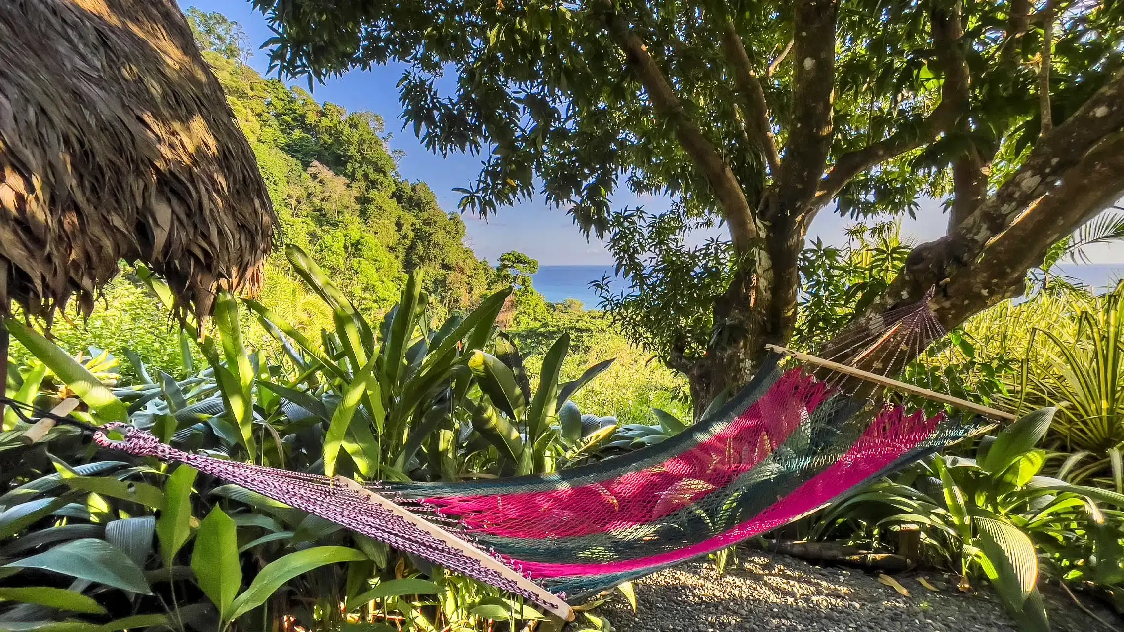 mango-cabana-6.jpg.webp