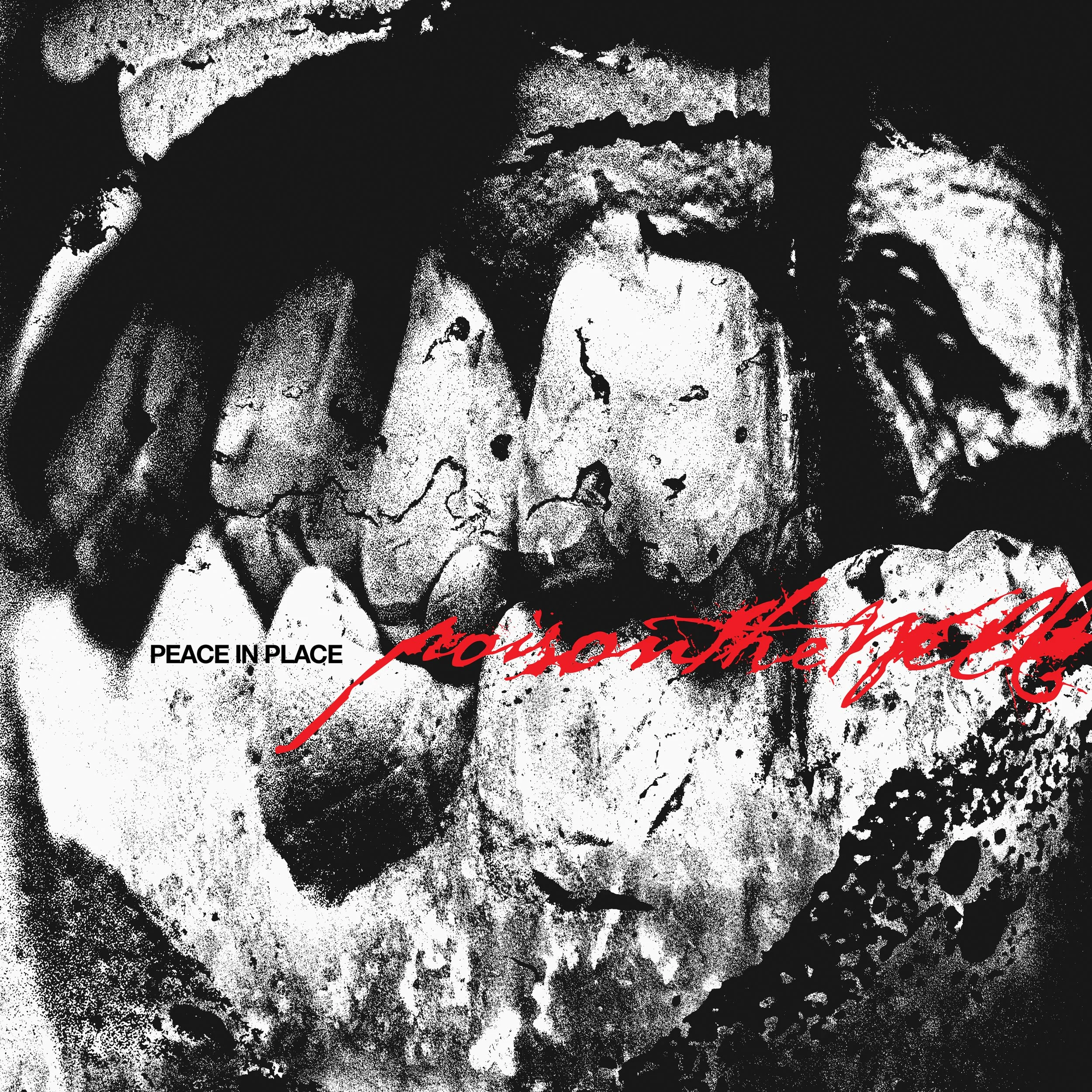 ALBUM REVIEW: PEACE IN PLACE BY POISON THE WELL