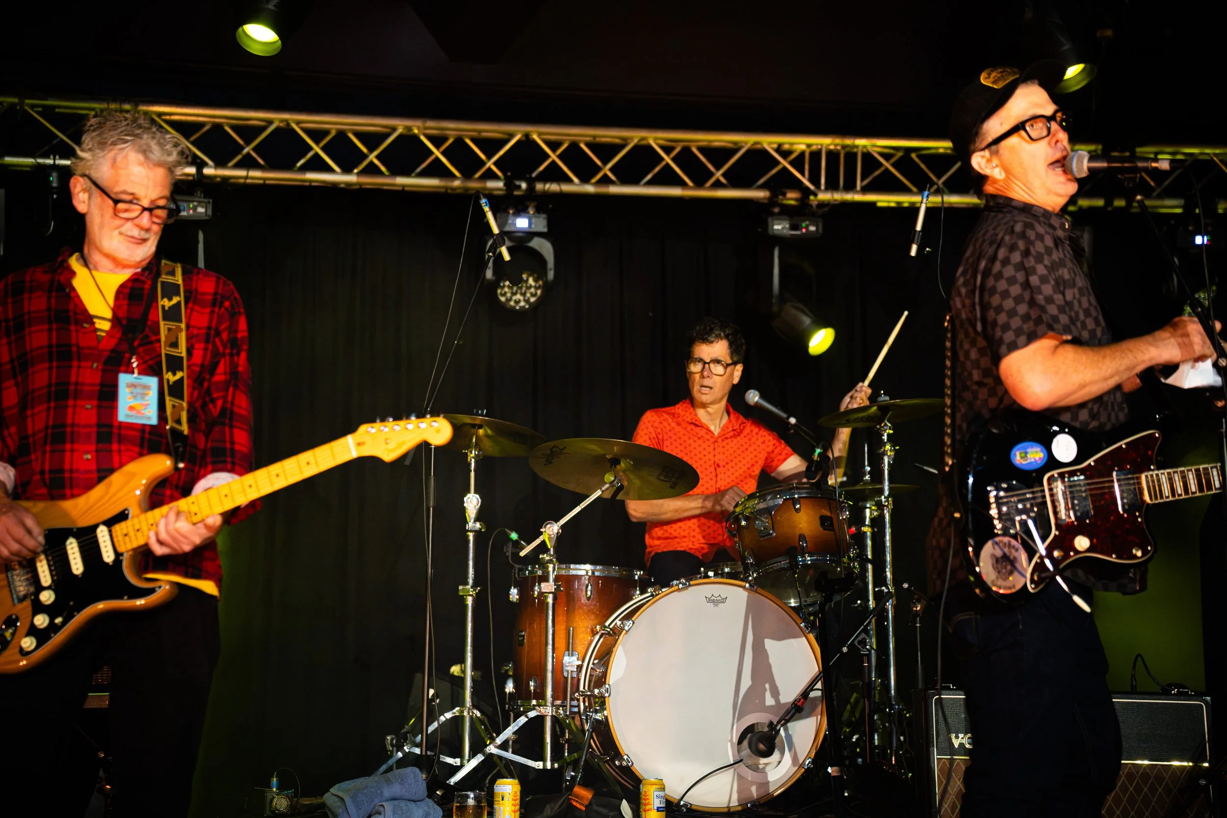 9 - Custard - 23.10.2026 - Amethyst Gaze Photography (3 of 10).jpg