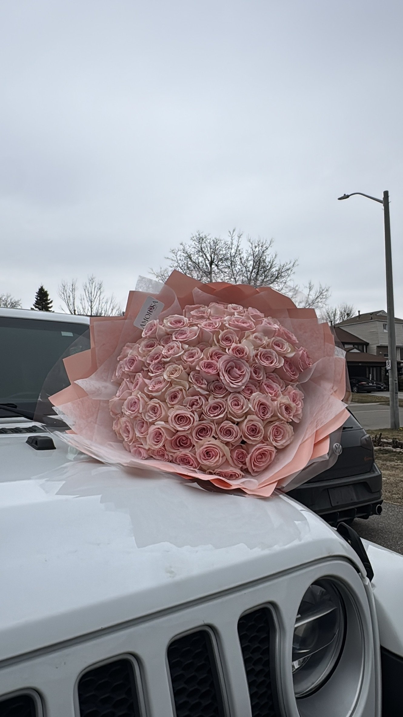 BFE6DB76-8621-4047-AB82-9216C4155CE8_1_102_a.jpeg