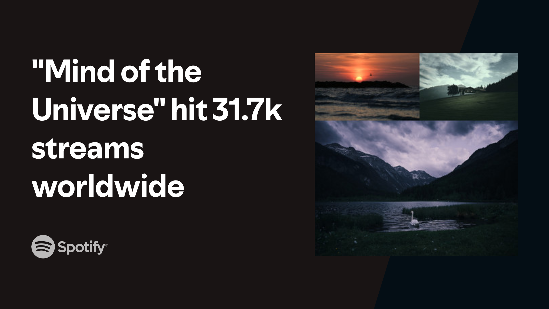 my-image-3 copy 4.png