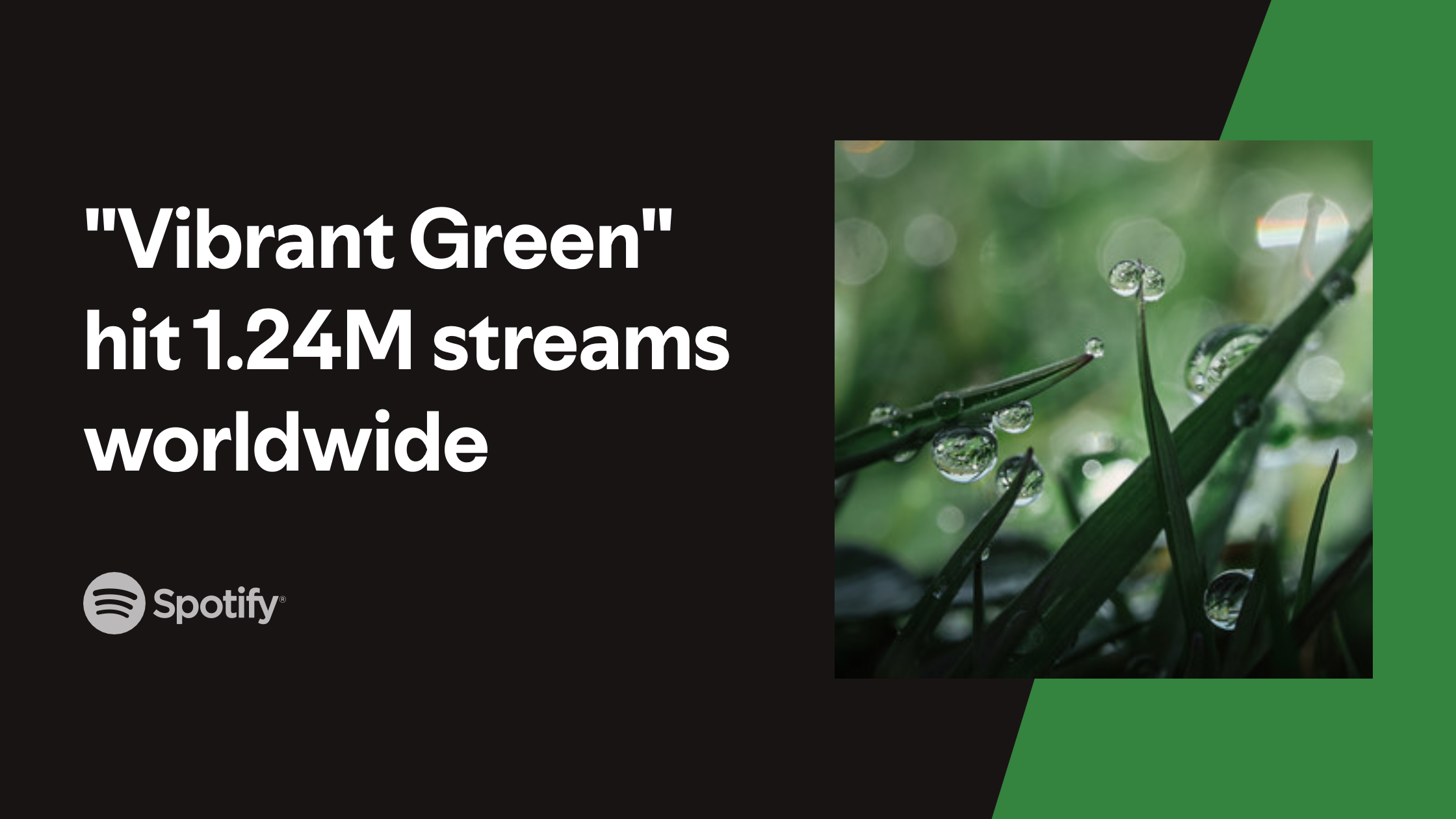 my-image-3 copy 3.png