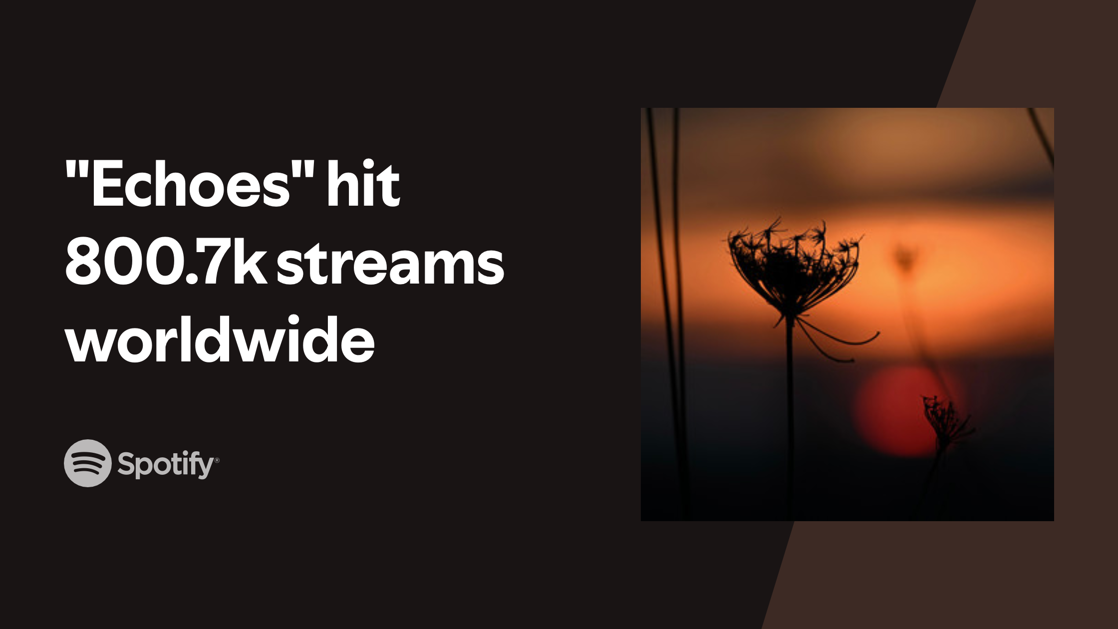 my-image-3 copy 8.png