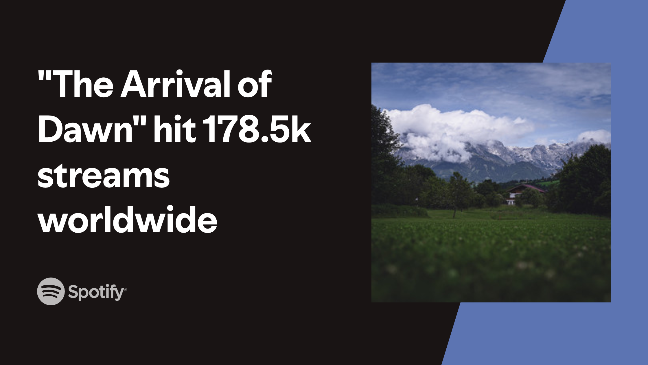 my-image-3 copy 2.png