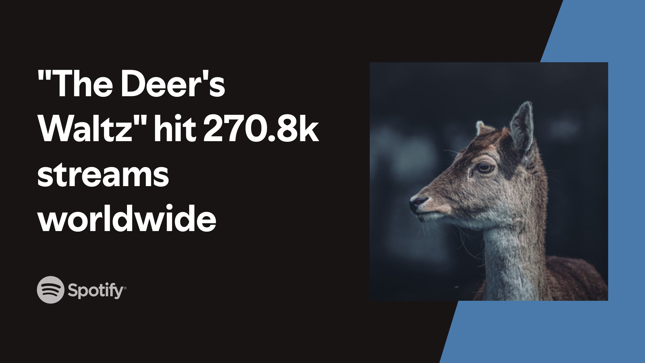 my-image-3 copy 7.png