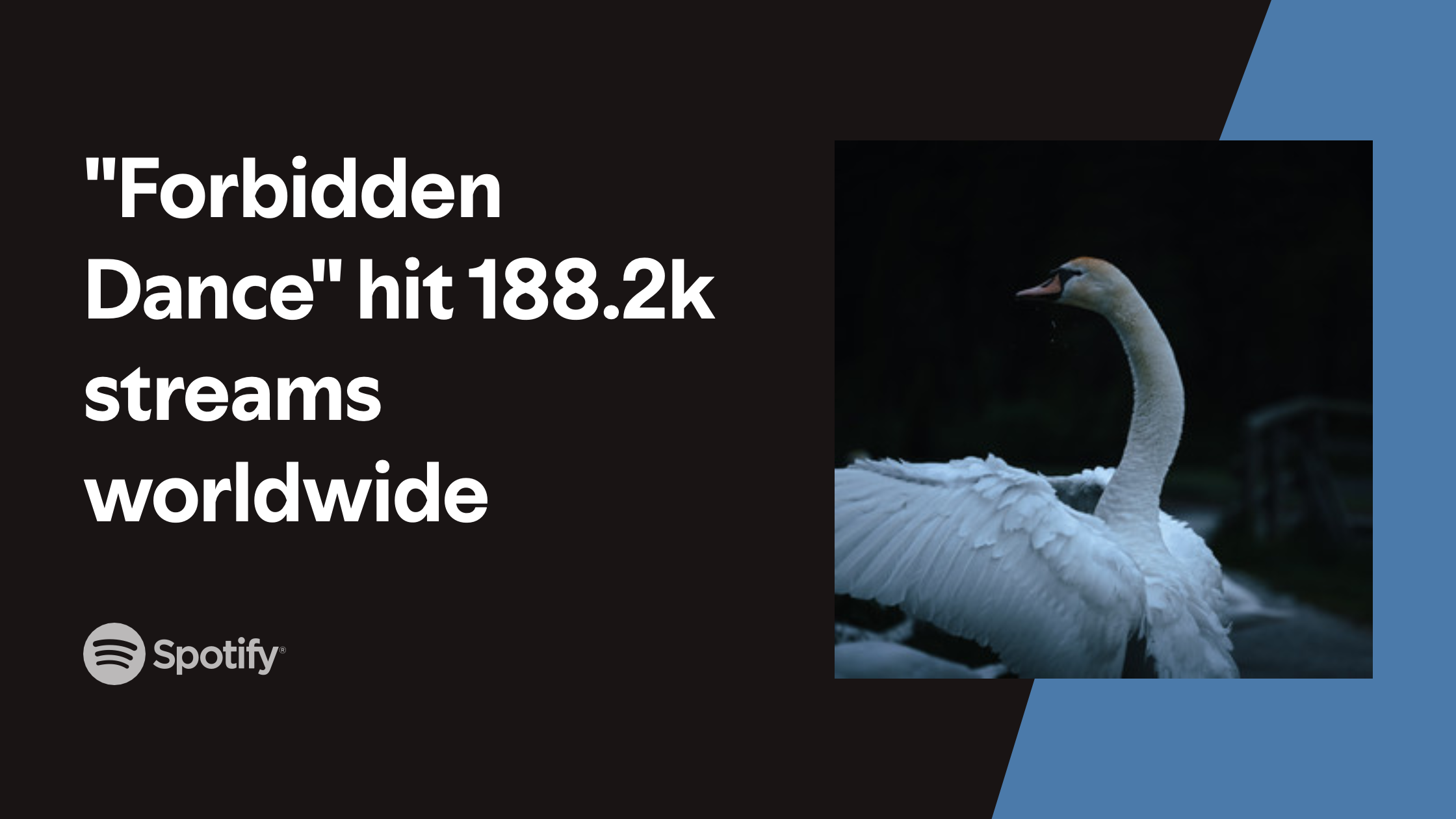 my-image-3 copy 5.png