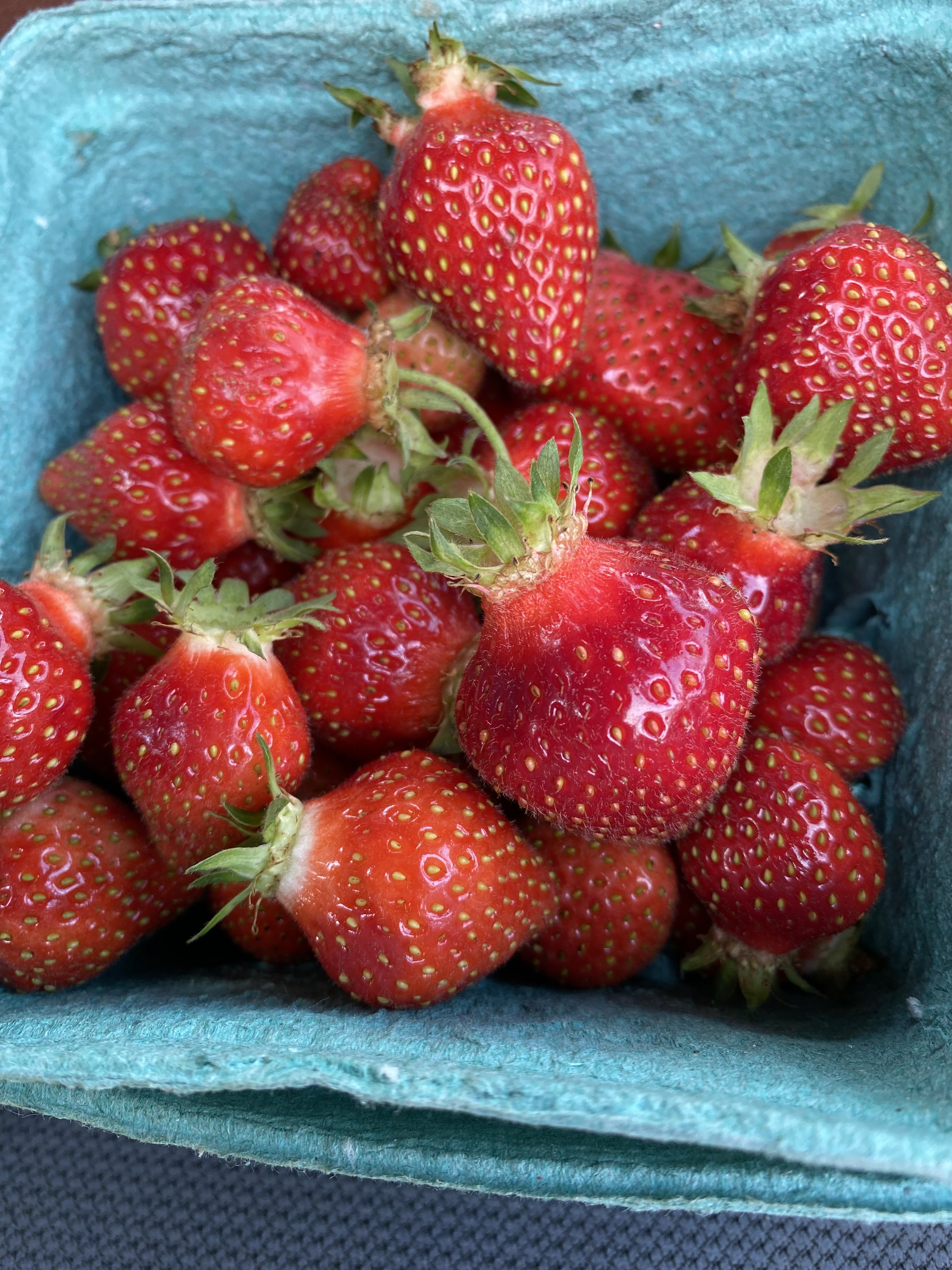 Strawberries
