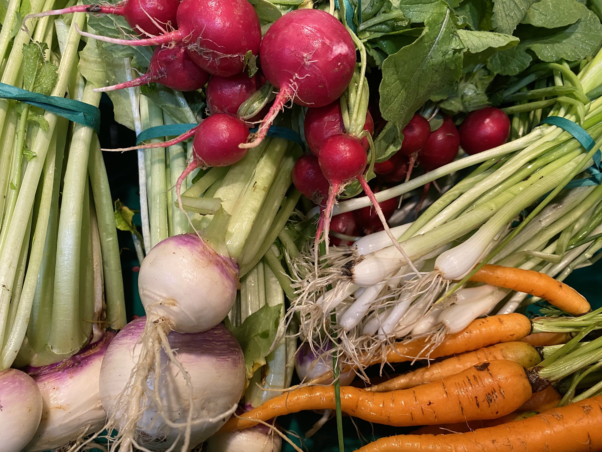 Jeffersontown Farmer's Market