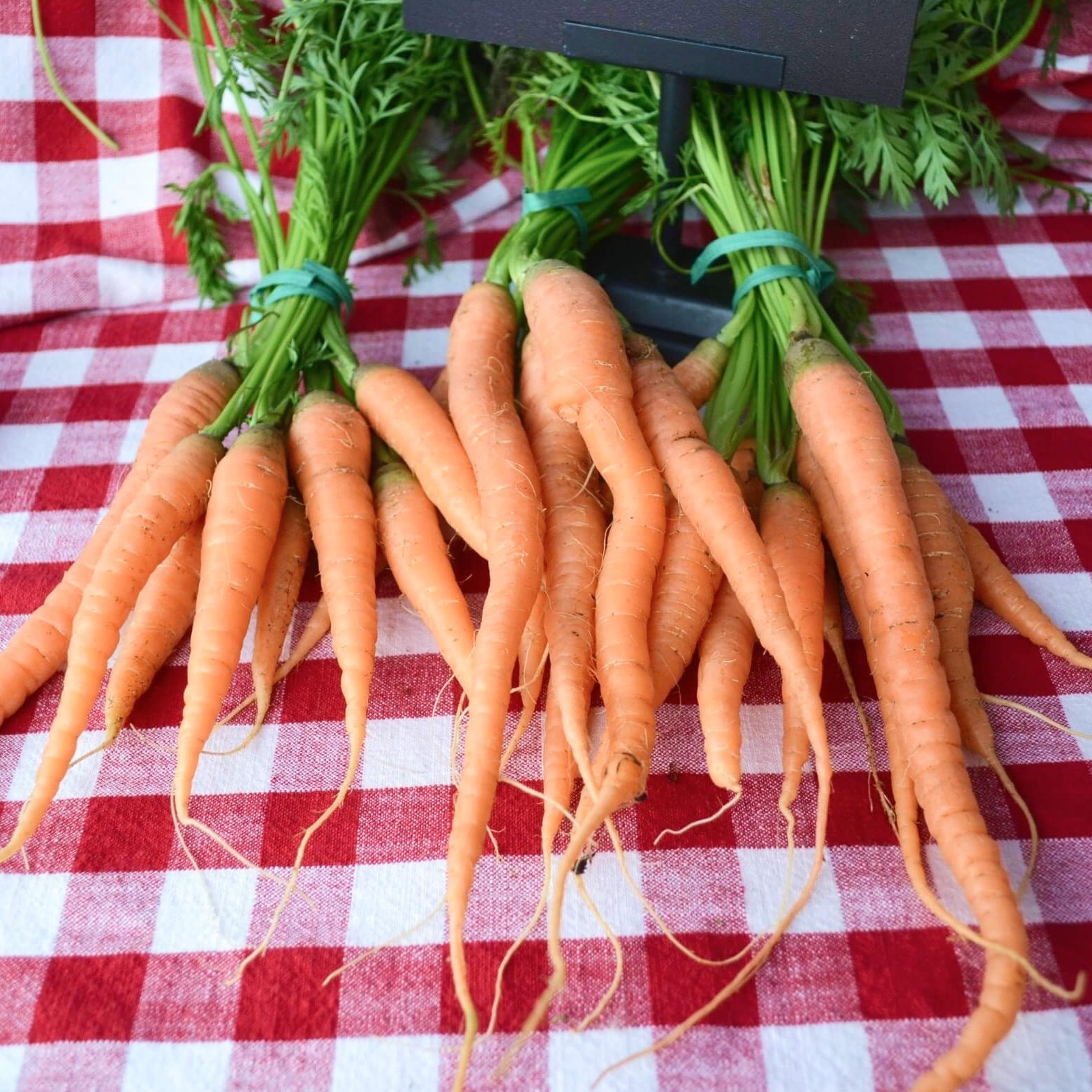 Fresh carrots with green tops on a red and white checkered cloth.